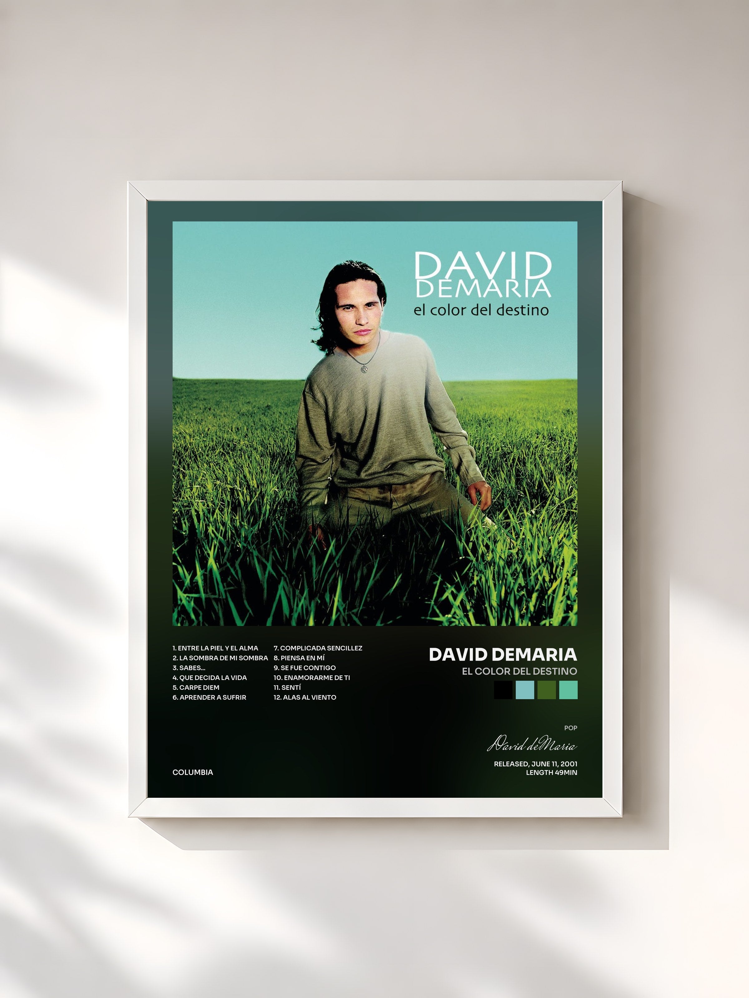 #blanc Tableau de l'album El Color Del Destino de David deMaria, cadre blanc, imprimé et encadré en France