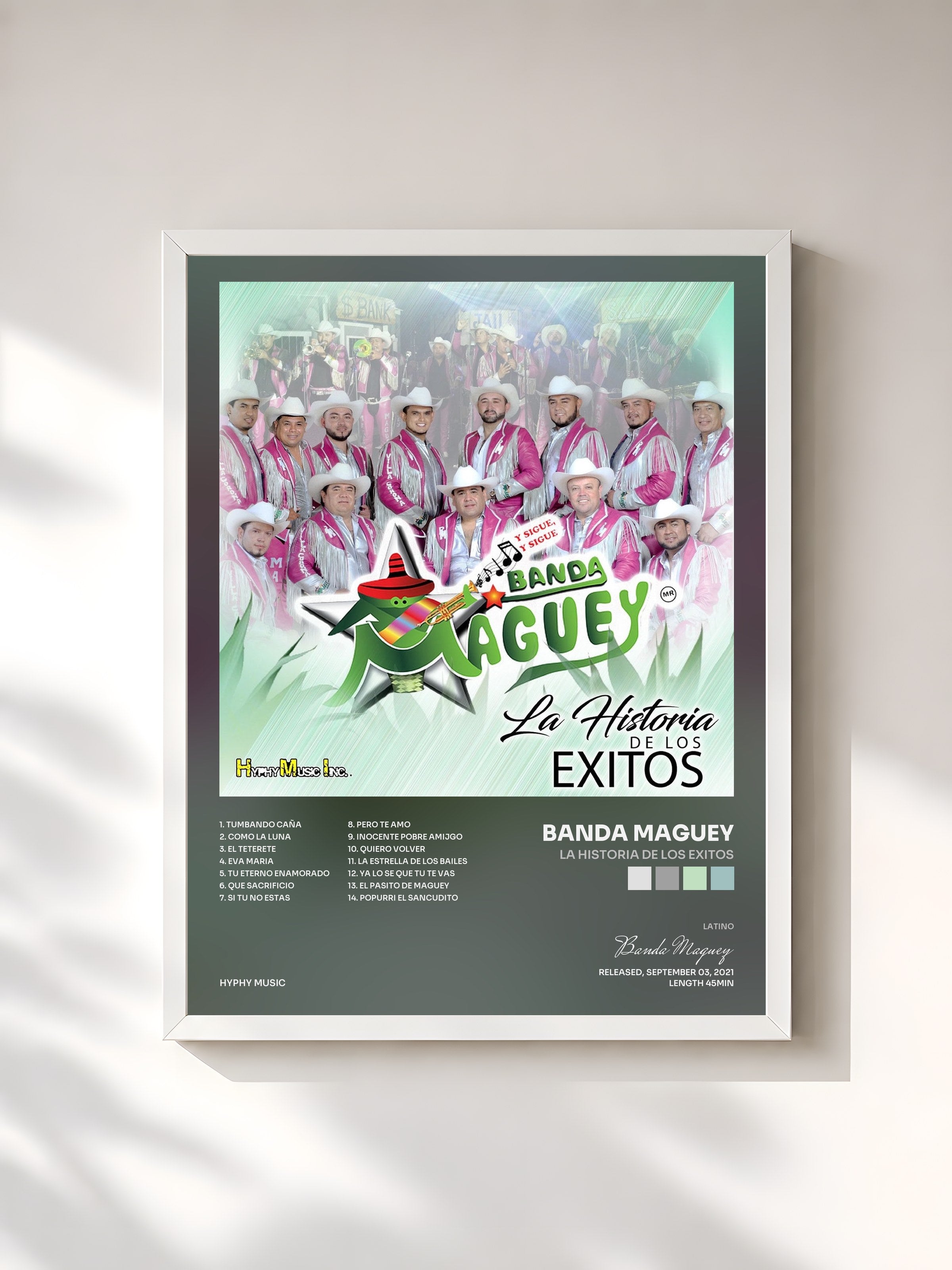 #blanc Tableau de l'album La Historia de Los Exitos de Banda Maguey, cadre blanc, imprimé et encadré en France