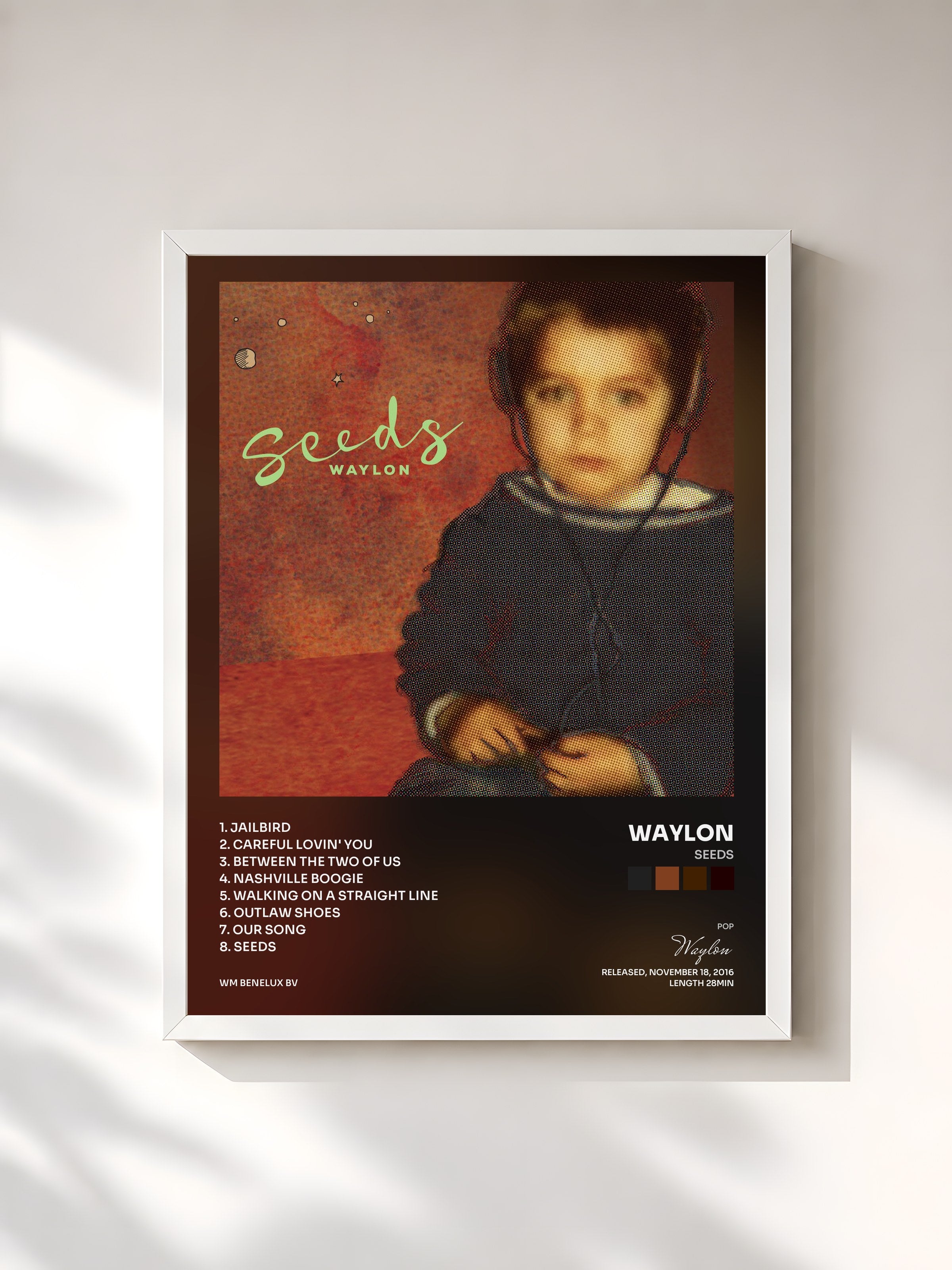#blanc Tableau de l'album Seeds de Waylon, cadre blanc, imprimé et encadré en France