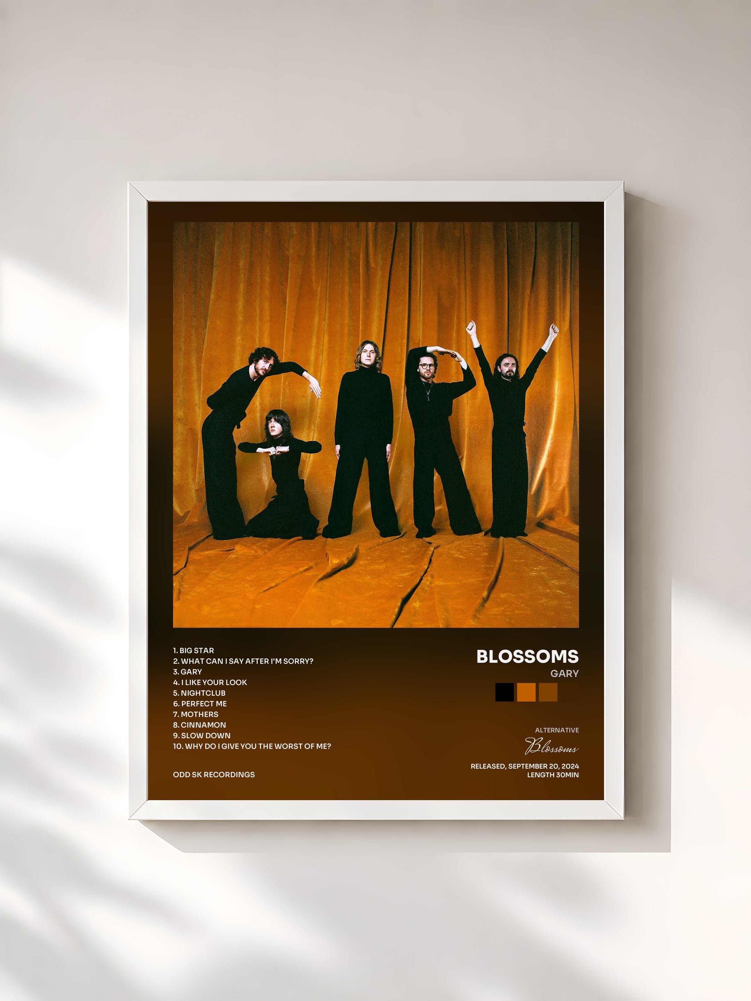 #blanc Tableau de l'album Gary de Blossoms, cadre blanc, imprimé et encadré en France