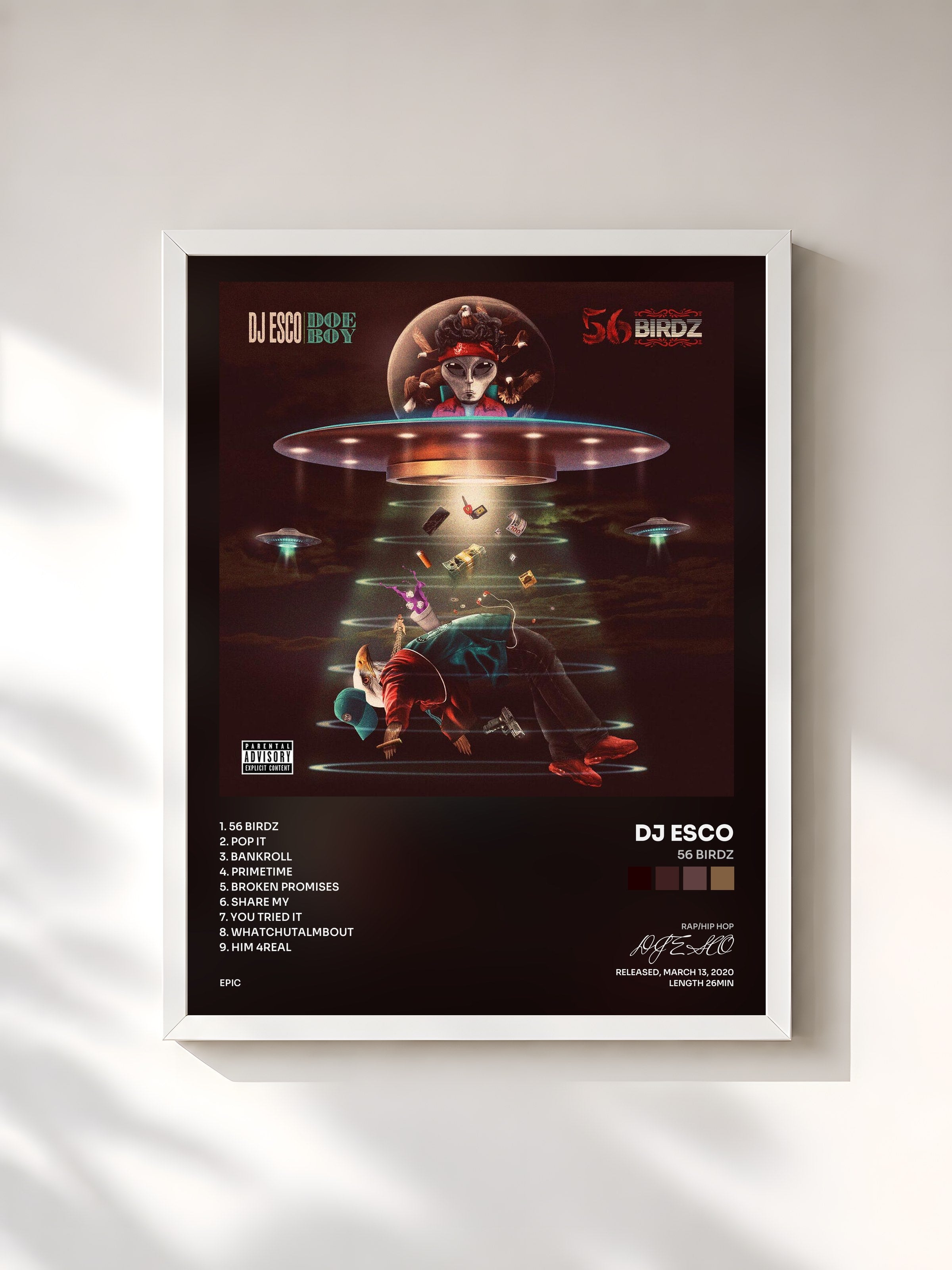 #blanc Tableau de l'album 56 Birdz de DJ ESCO, cadre blanc, imprimé et encadré en France