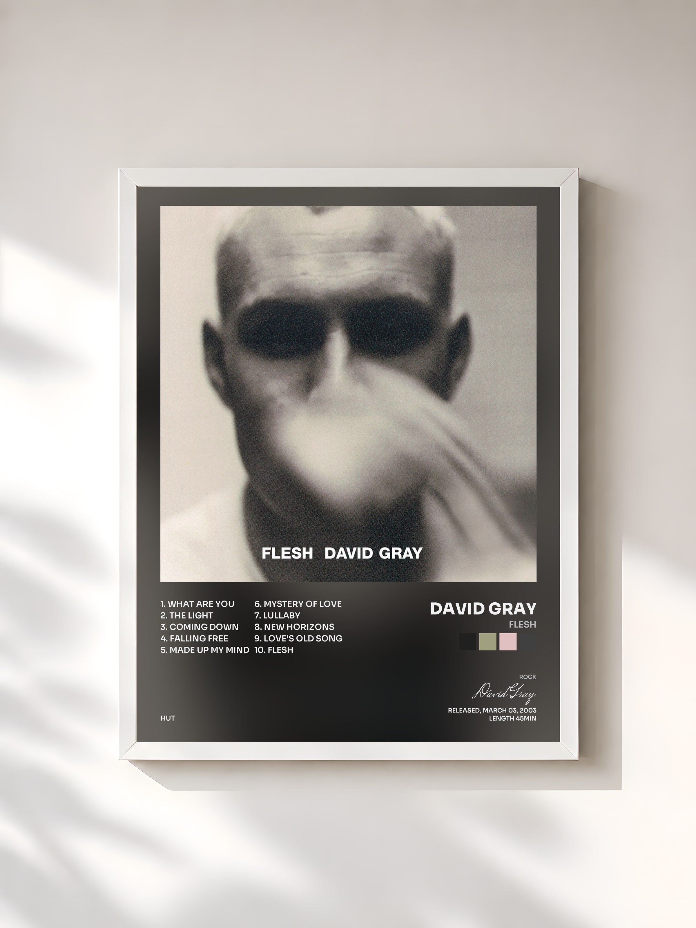 #blanc Tableau de l'album Flesh de David Gray, cadre blanc, imprimé et encadré en France