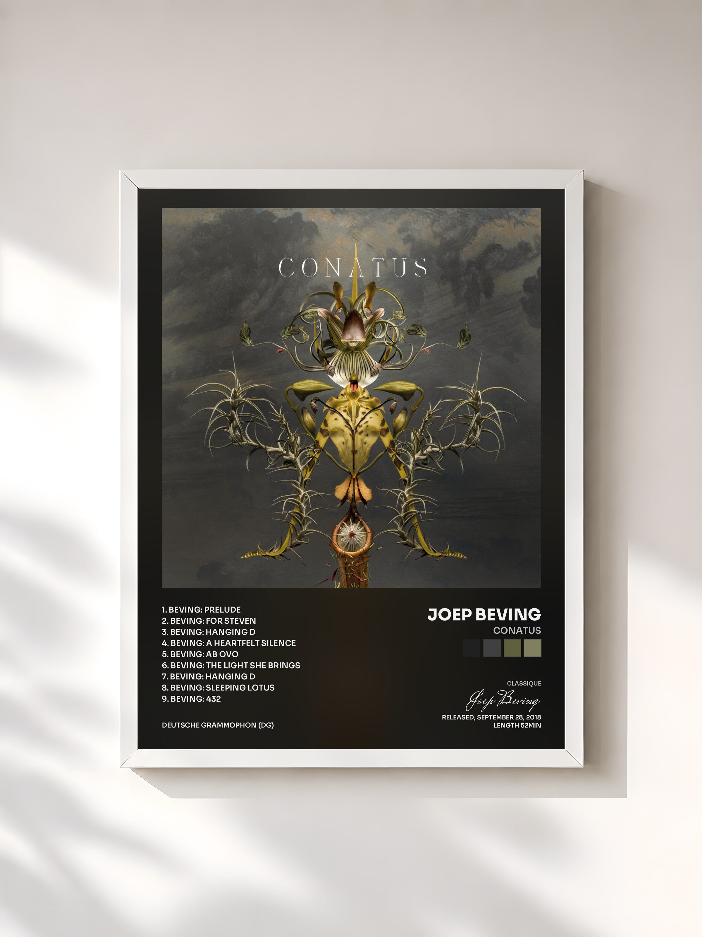 #blanc Tableau de l'album Conatus de Joep Beving, cadre blanc, imprimé et encadré en France