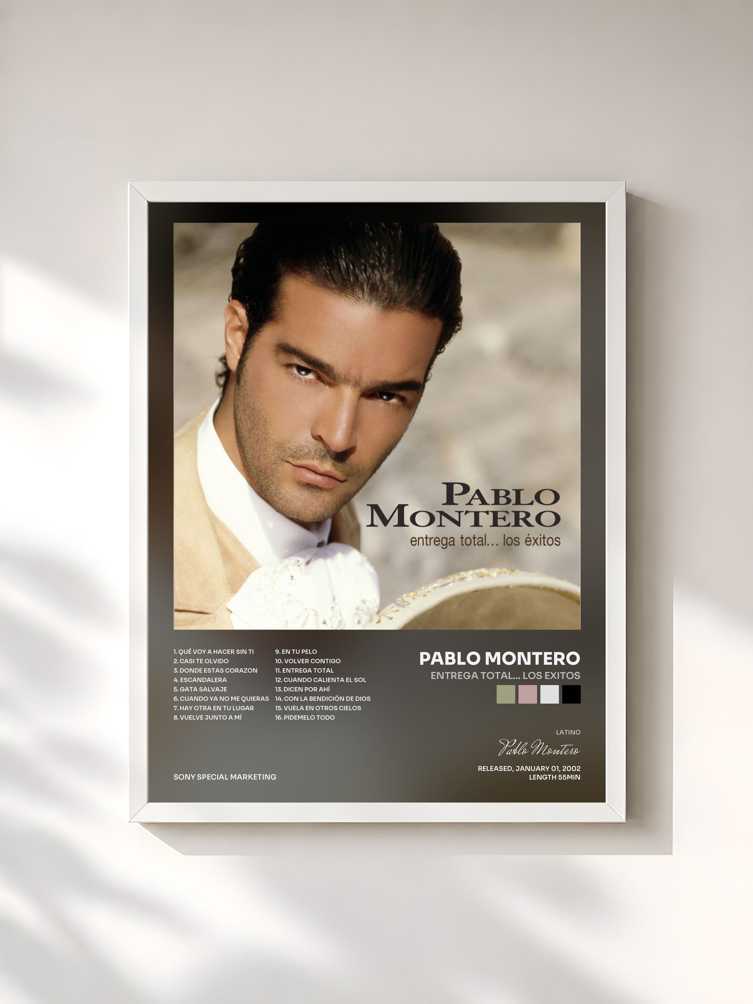 #blanc Tableau de l'album Entrega Total... Los Exitos de Pablo Montero, cadre blanc, imprimé et encadré en France