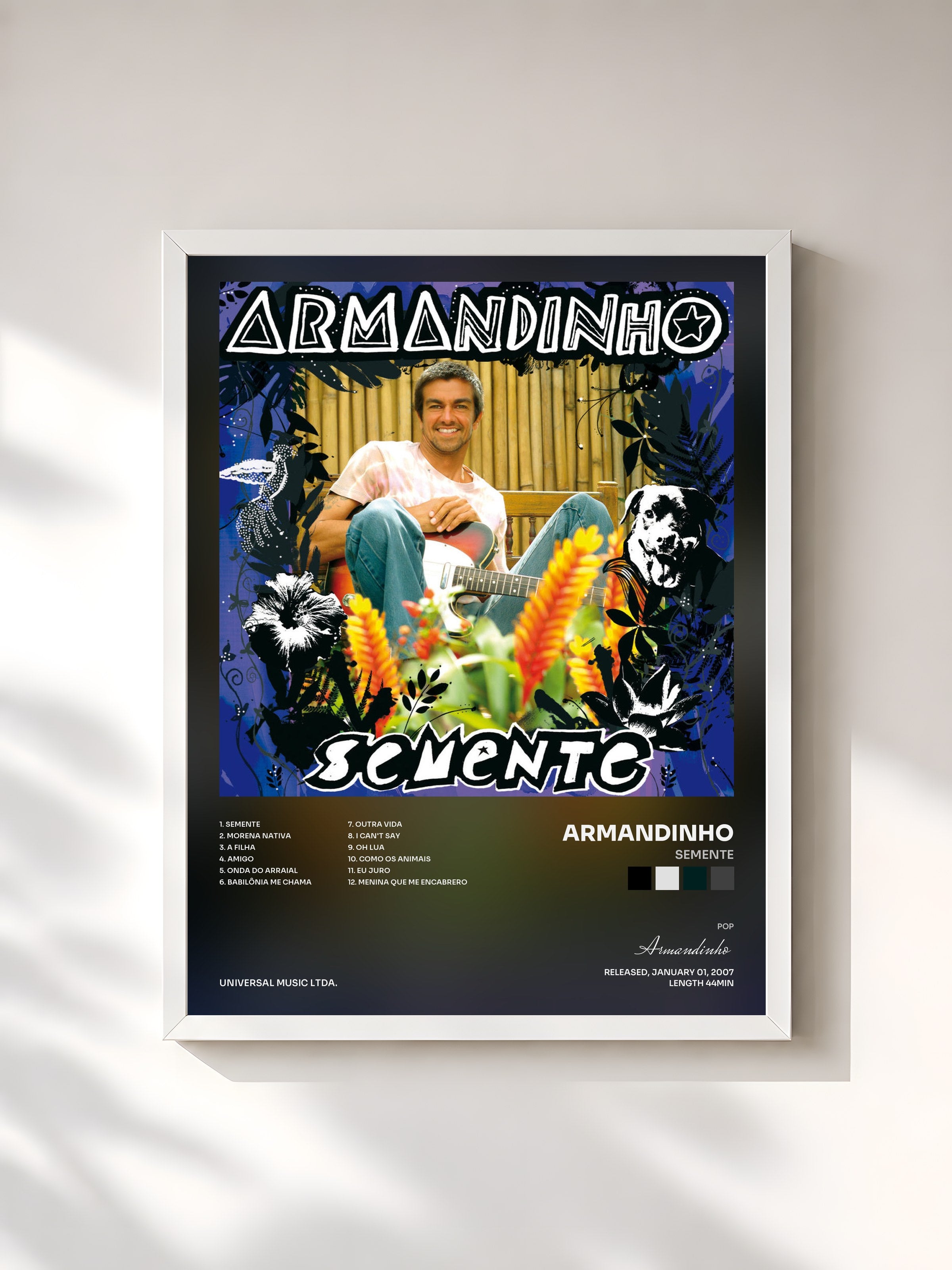 #blanc Tableau de l'album Semente de Armandinho, cadre blanc, imprimé et encadré en France