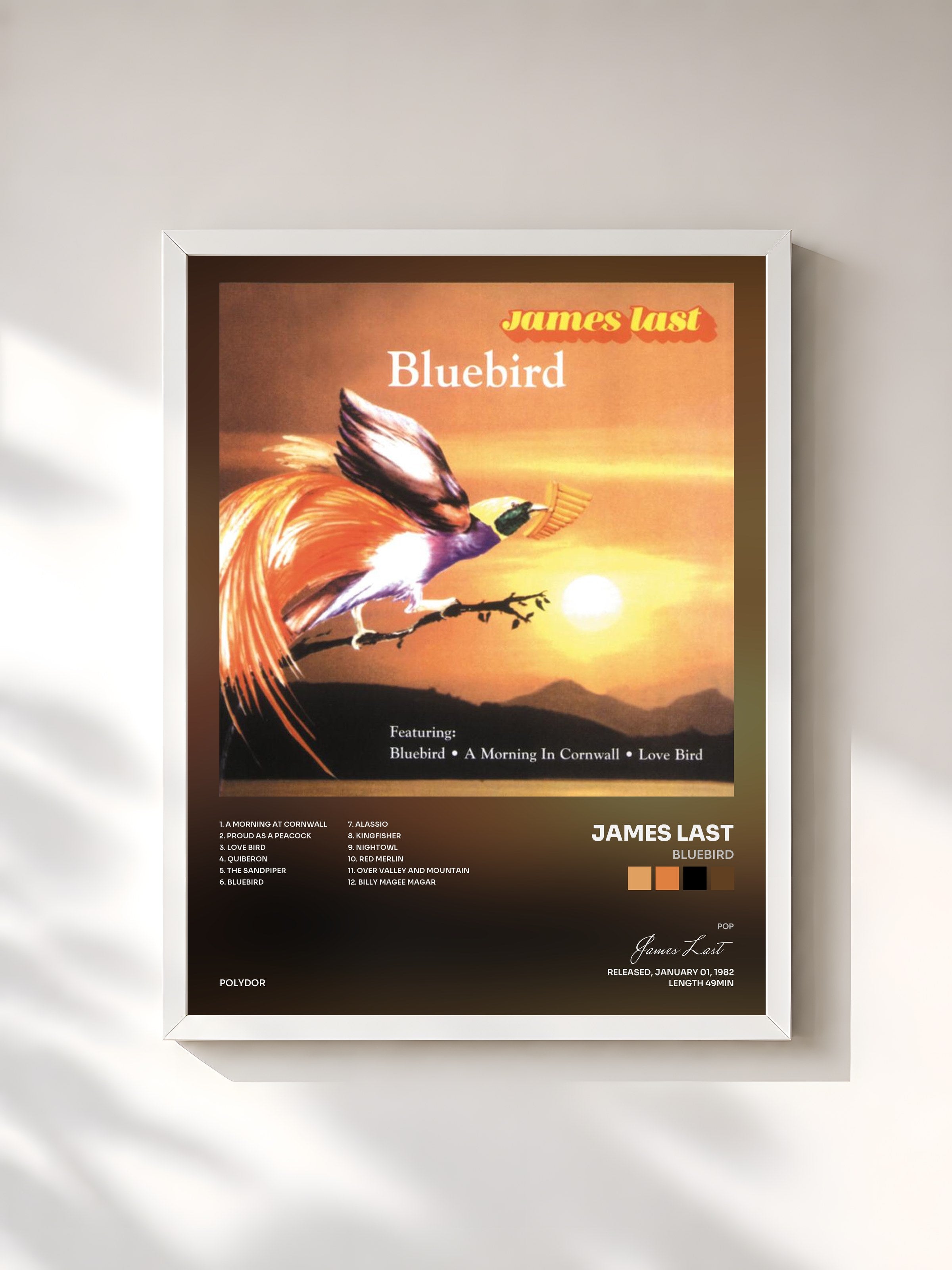 #blanc Tableau de l'album Bluebird de James Last, cadre blanc, imprimé et encadré en France