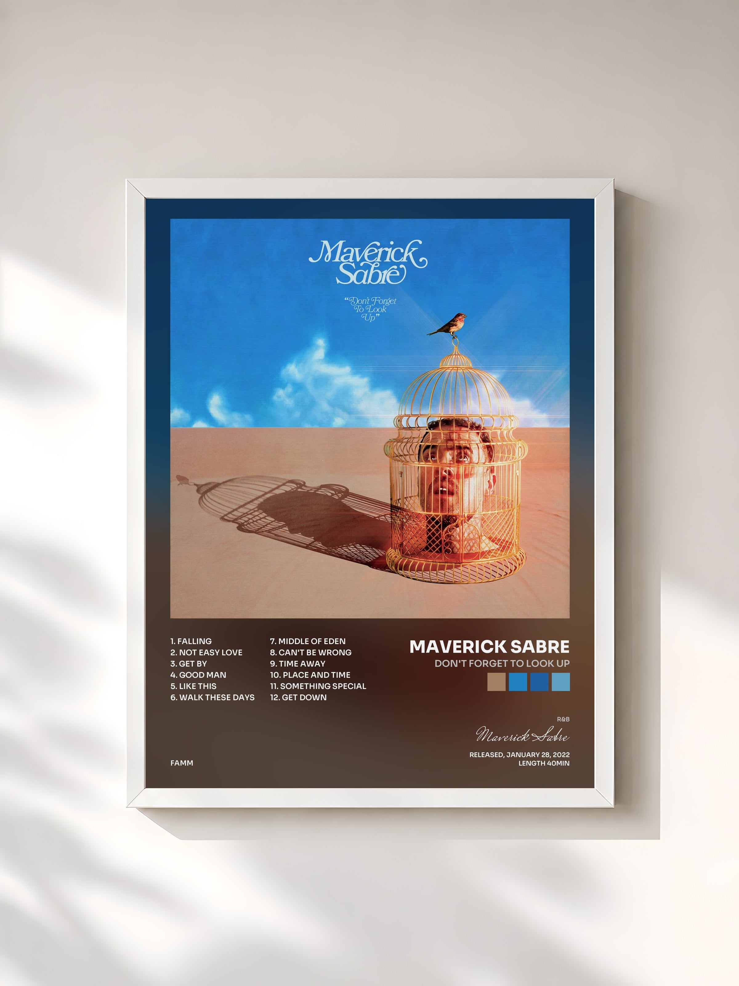 #blanc Tableau de l'album Don't Forget to Look Up de Maverick Sabre, cadre blanc, imprimé et encadré en France