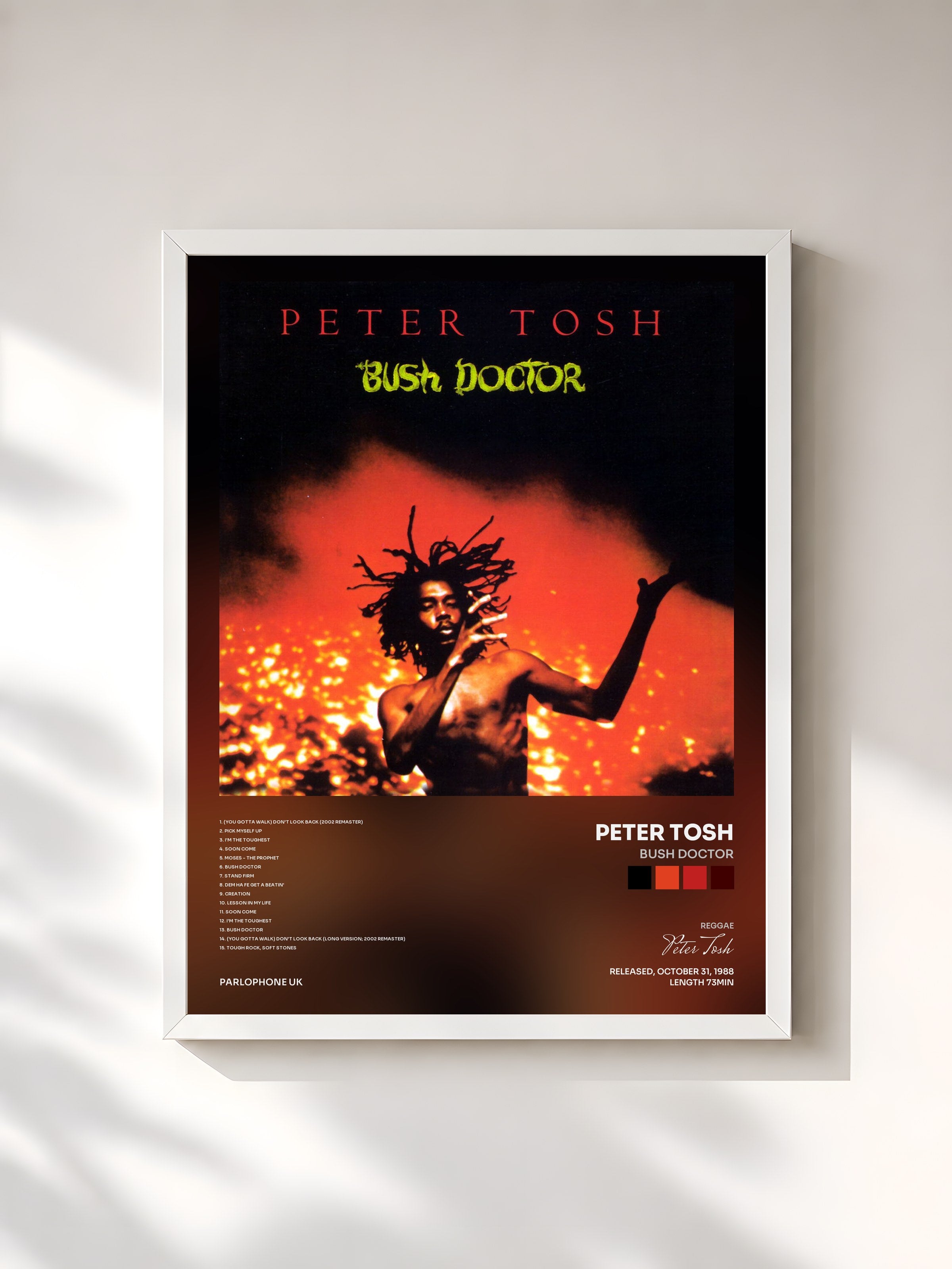 #blanc Tableau de l'album Bush Doctor de Peter Tosh, cadre blanc, imprimé et encadré en France
