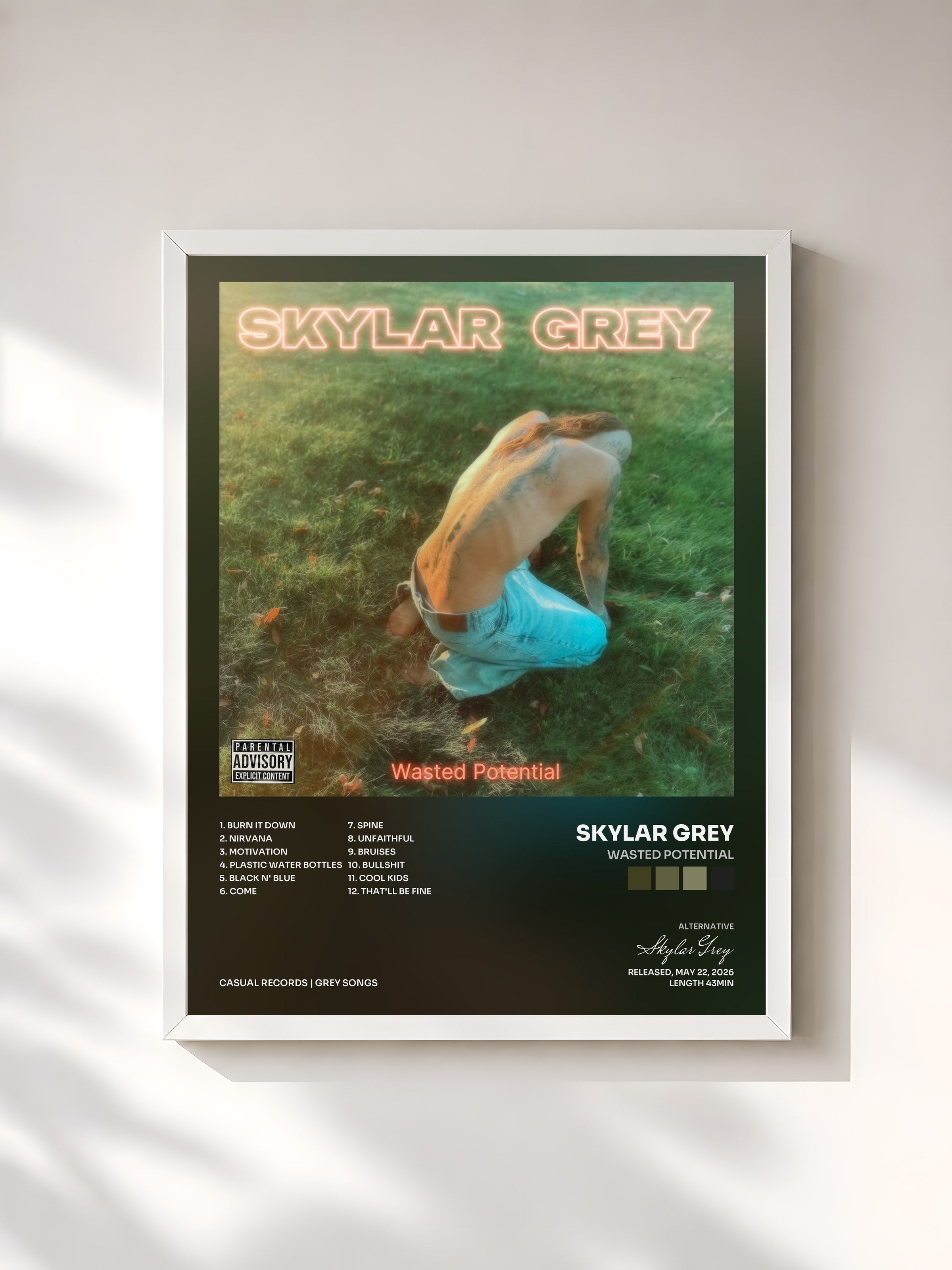 #blanc Tableau de l'album Wasted Potential de Skylar Grey, cadre blanc, imprimé et encadré en France