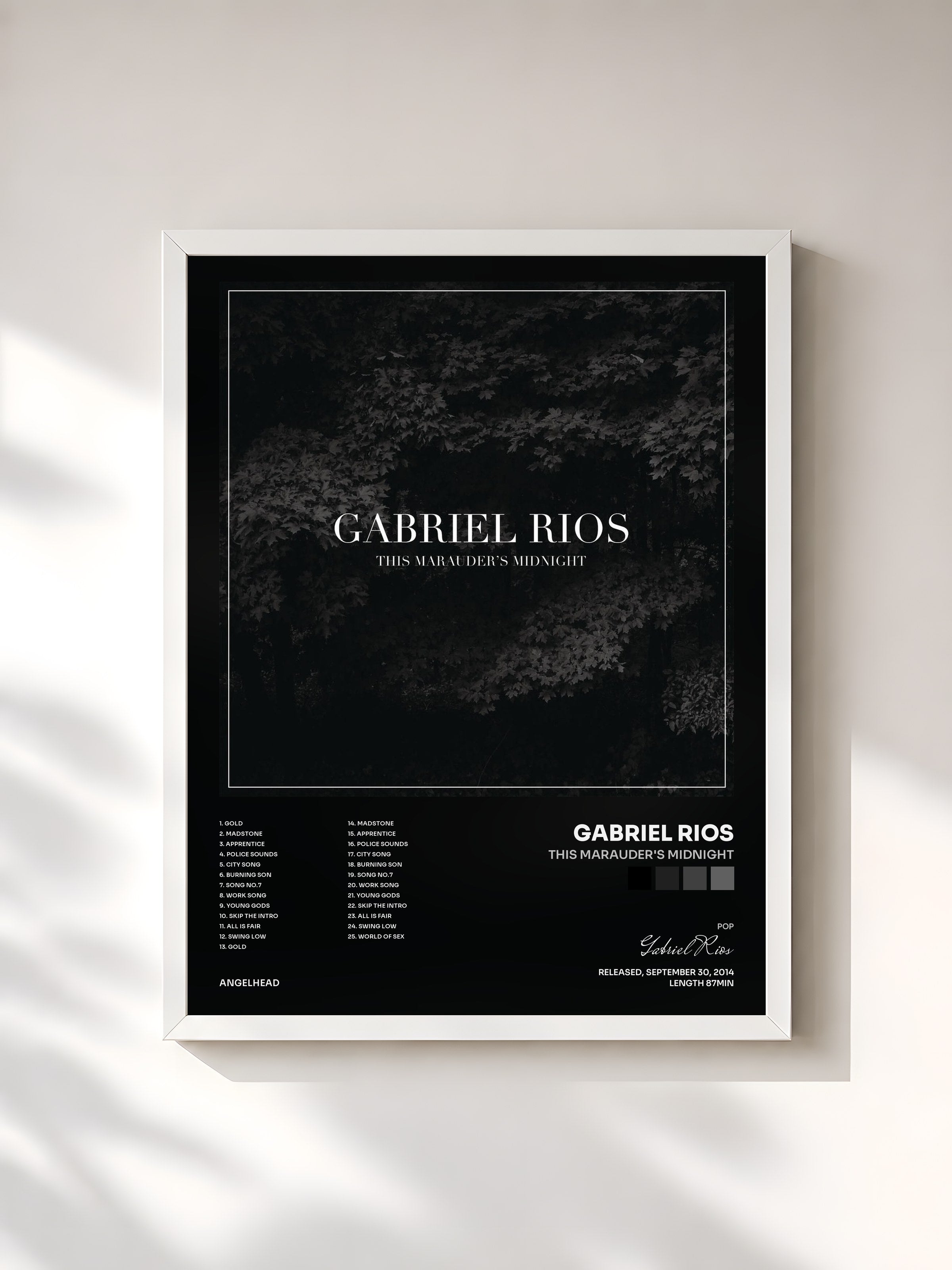 #blanc Tableau de l'album This Marauder's Midnight de Gabriel Rios, cadre blanc, imprimé et encadré en France