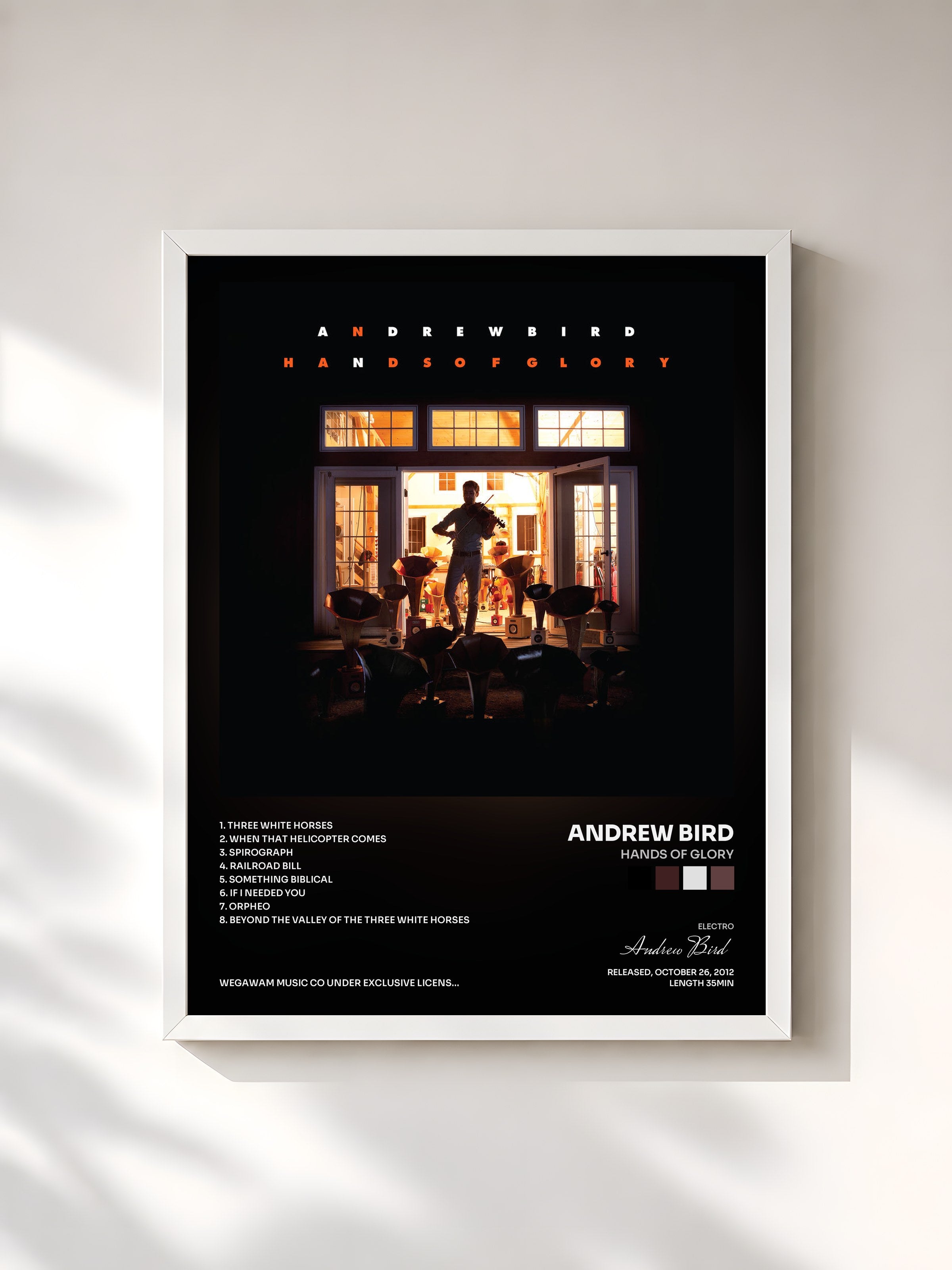 #blanc Tableau de l'album Hands of Glory de Andrew Bird, cadre blanc, imprimé et encadré en France