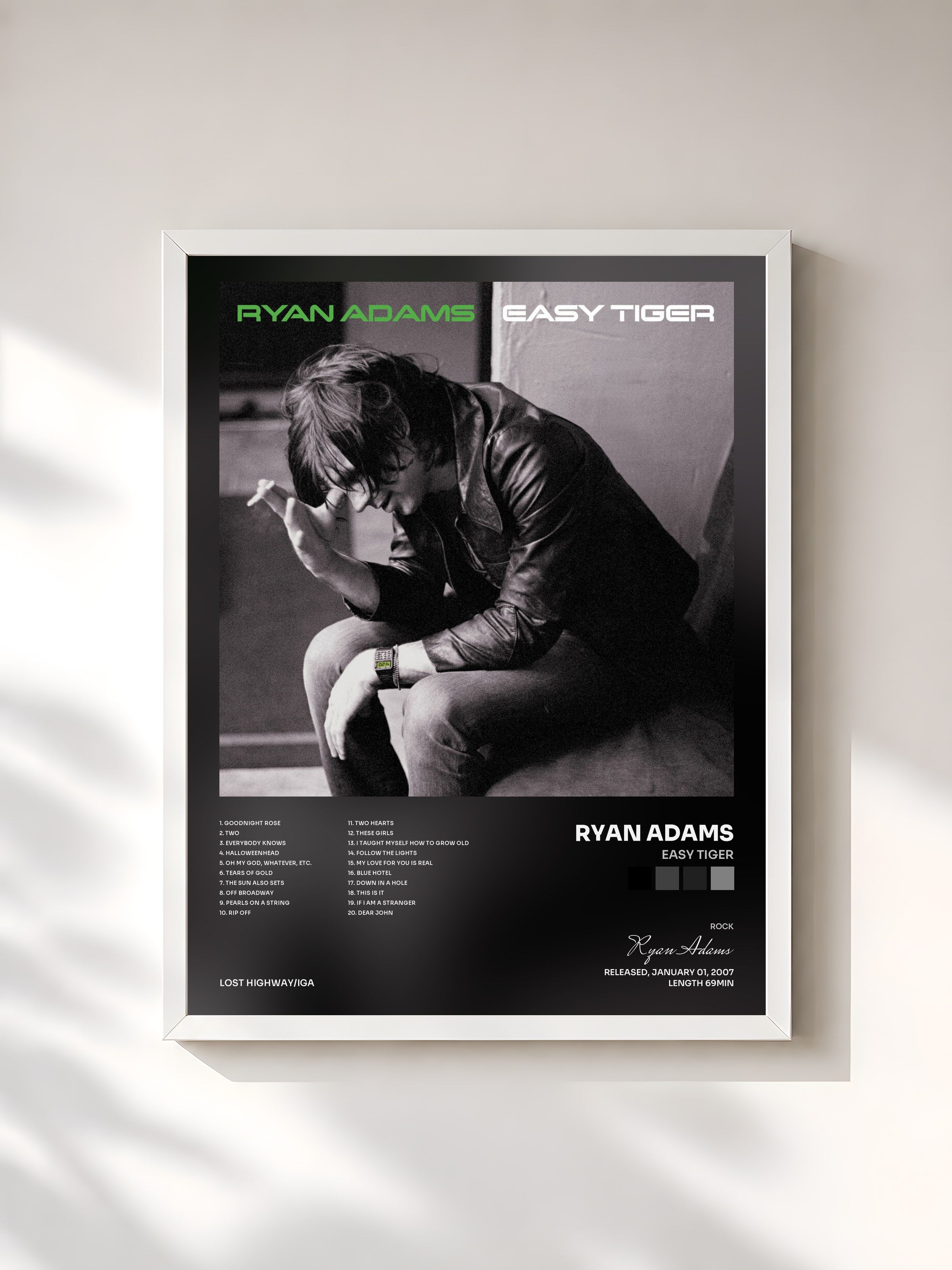 #blanc Tableau de l'album Easy Tiger de Ryan Adams, cadre blanc, imprimé et encadré en France