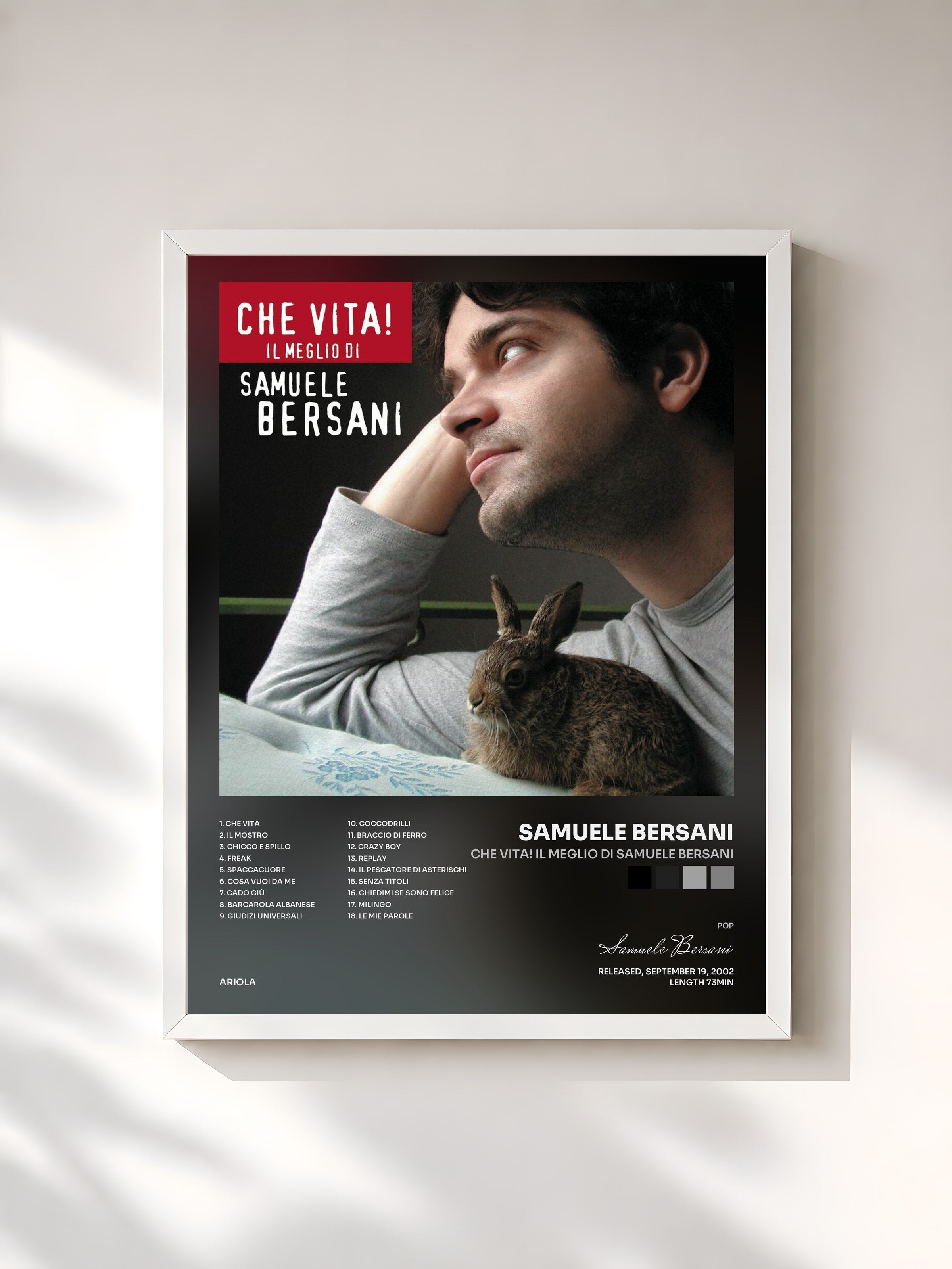 #blanc Tableau de l'album Che Vita! Il Meglio Di Samuele Bersani de Samuele Bersani, cadre blanc, imprimé et encadré en France