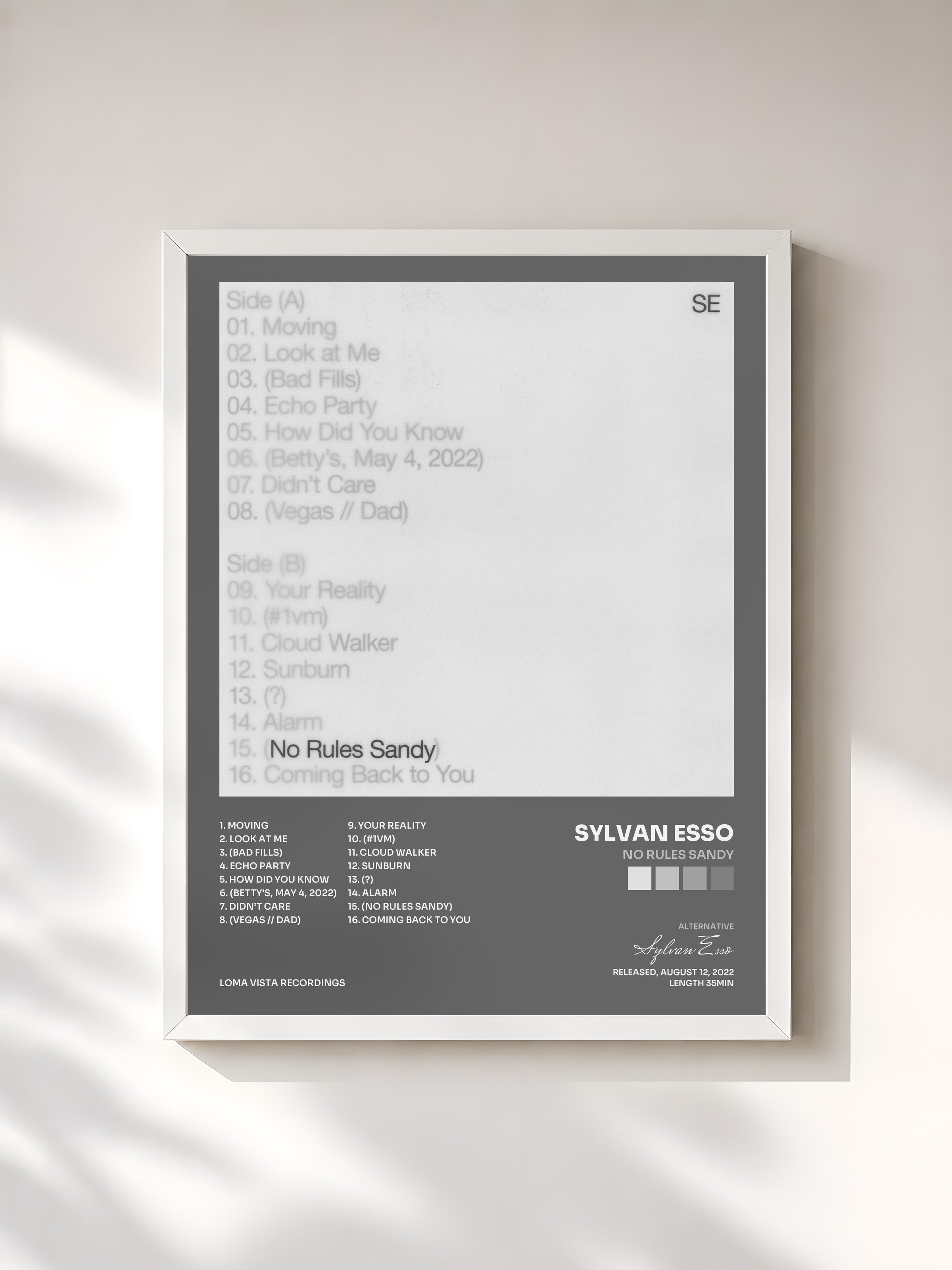 #blanc Tableau de l'album No Rules Sandy de Sylvan Esso, cadre blanc, imprimé et encadré en France