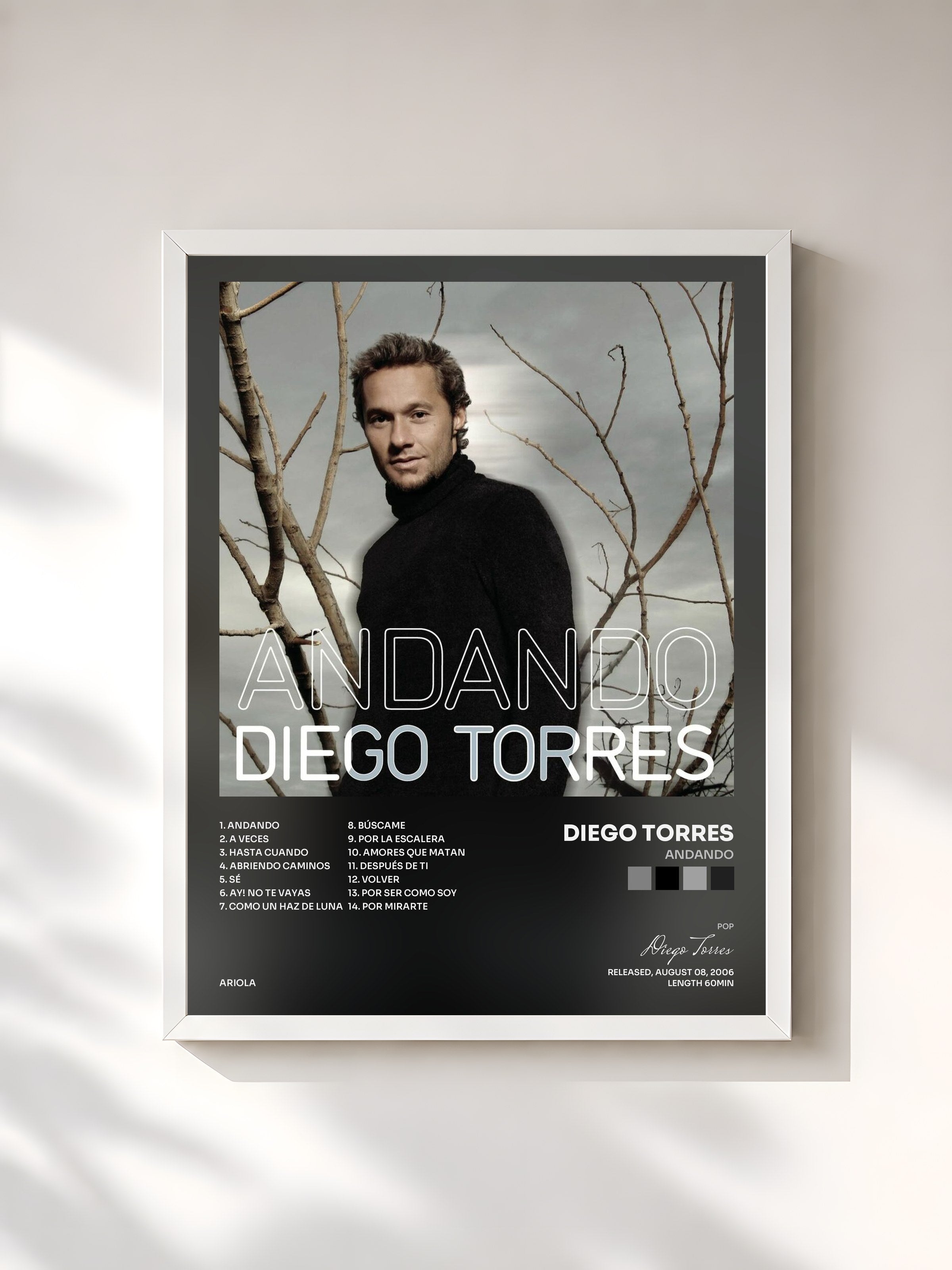 #blanc Tableau de l'album Andando de Diego Torres, cadre blanc, imprimé et encadré en France