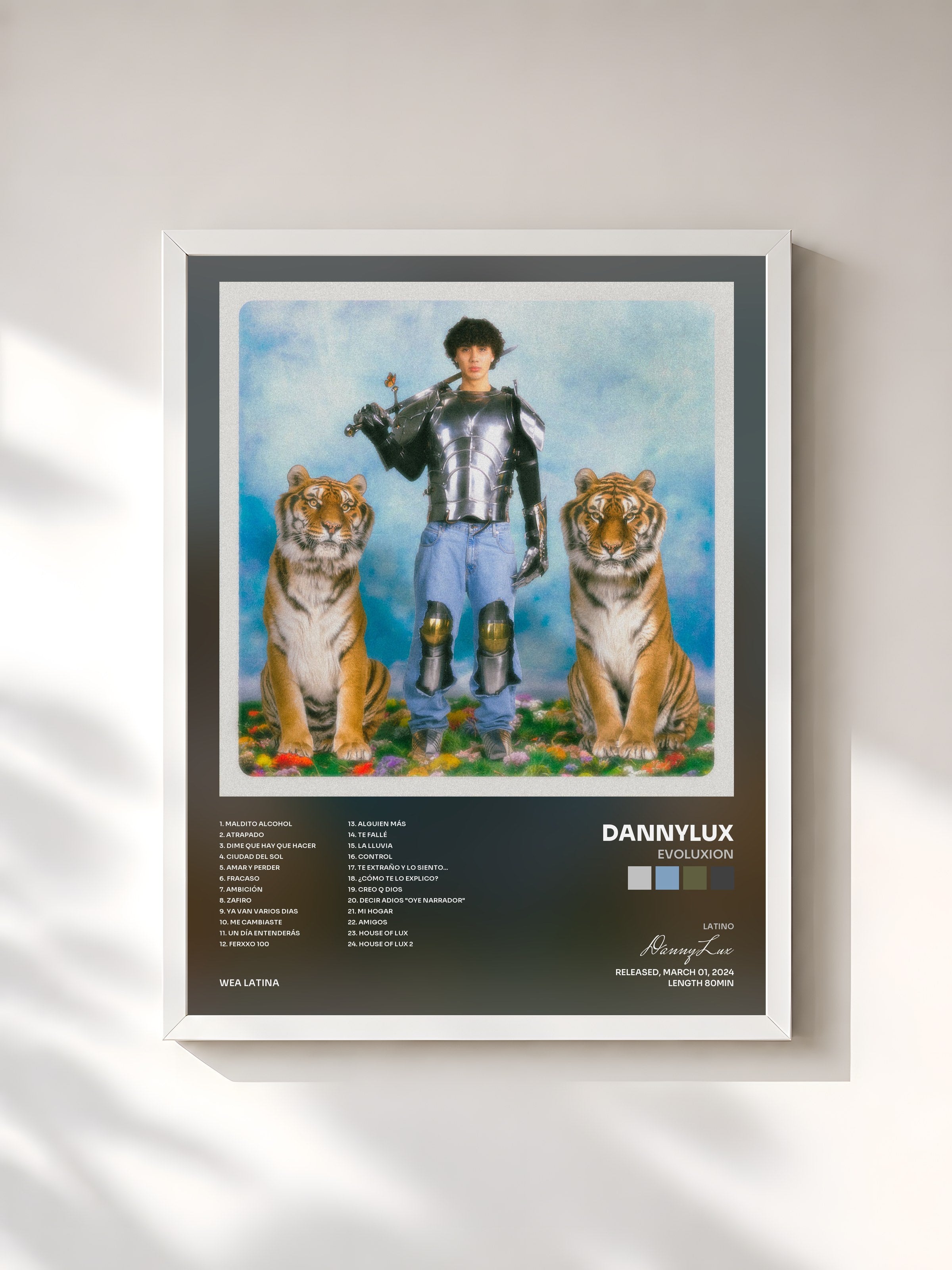 #blanc Tableau de l'album EVOLUXION de DannyLux, cadre blanc, imprimé et encadré en France