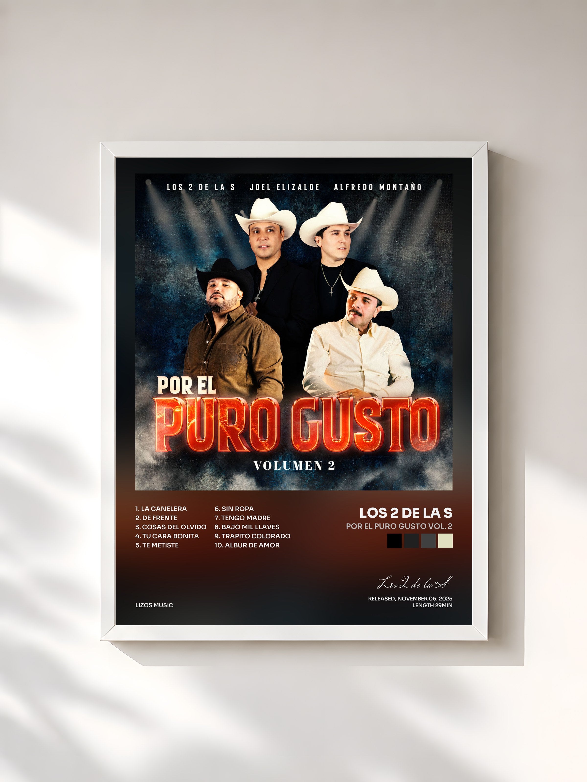 #blanc Tableau de l'album Por El Puro Gusto Vol. 2 de Los 2 de la S, cadre blanc, imprimé et encadré en France