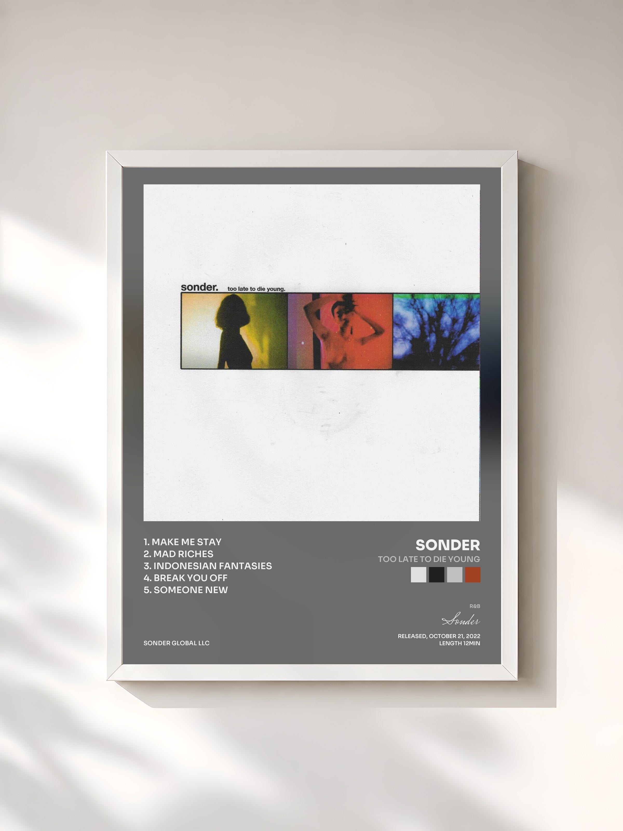 #blanc Tableau de l'album Too Late To Die Young de Sonder, cadre blanc, imprimé et encadré en France