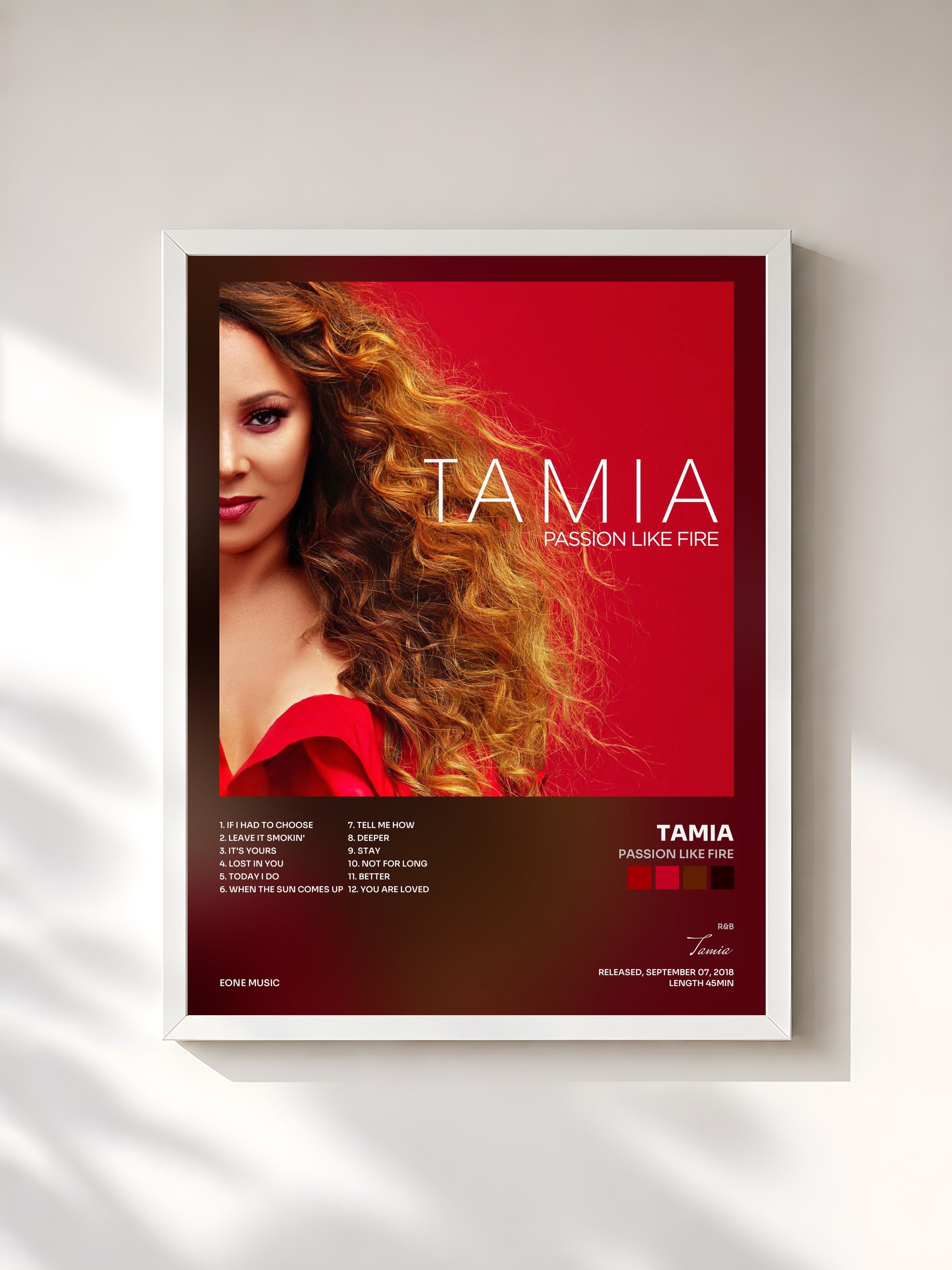 #blanc Tableau de l'album Passion Like Fire de Tamia, cadre blanc, imprimé et encadré en France