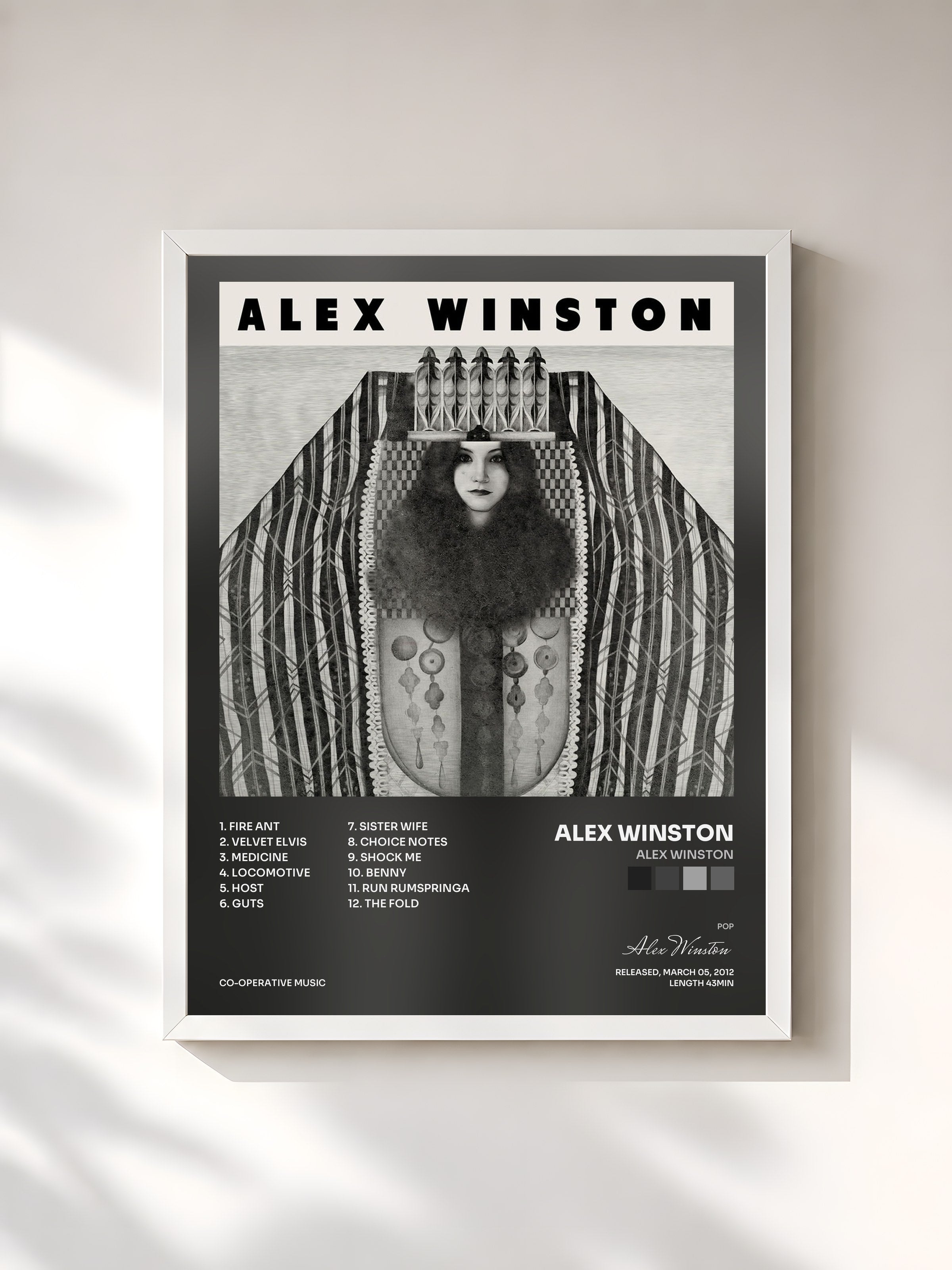 #blanc Tableau de l'album Alex Winston de Alex Winston, cadre blanc, imprimé et encadré en France