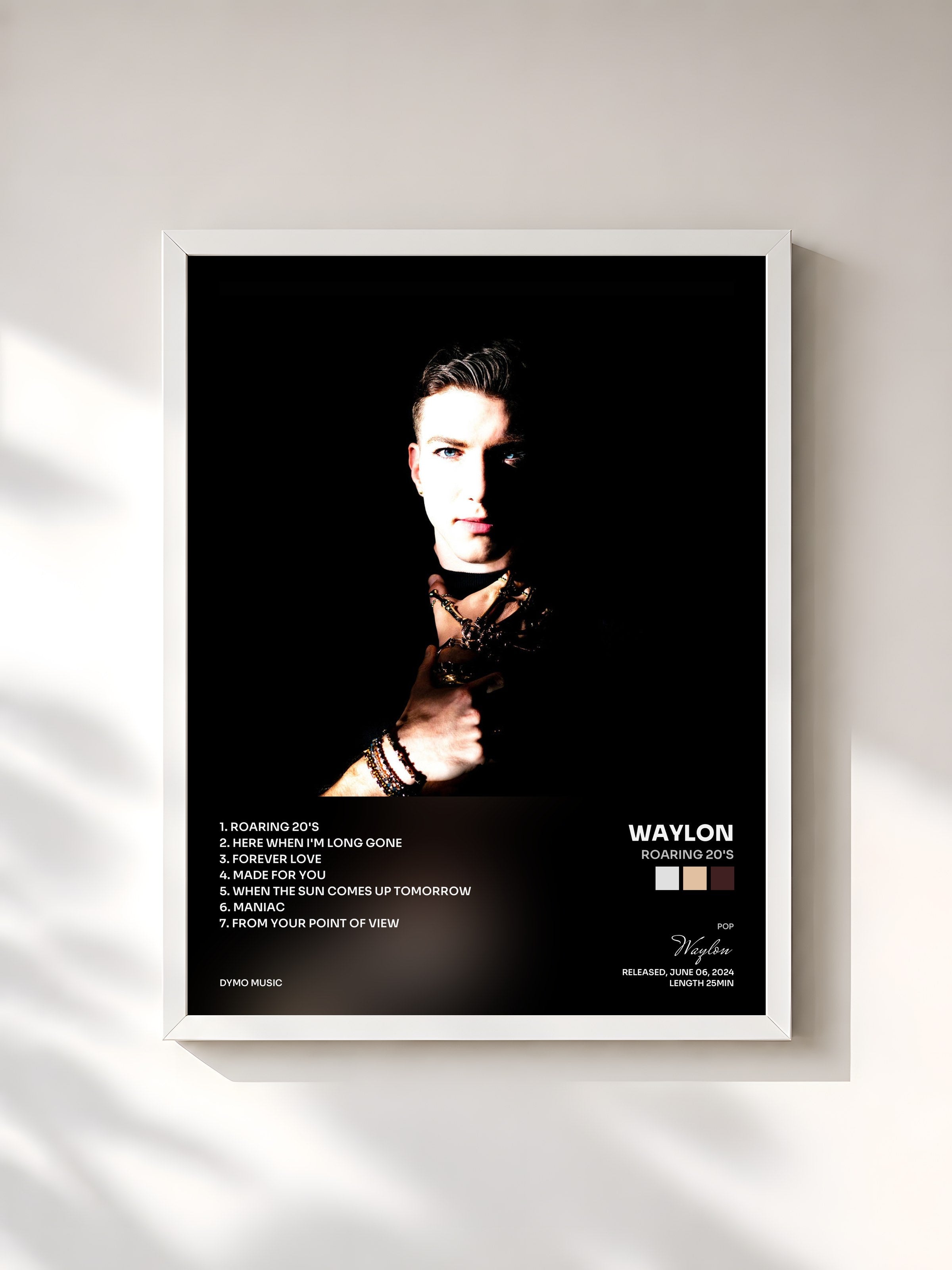 #blanc Tableau de l'album Roaring 20's de Waylon, cadre blanc, imprimé et encadré en France