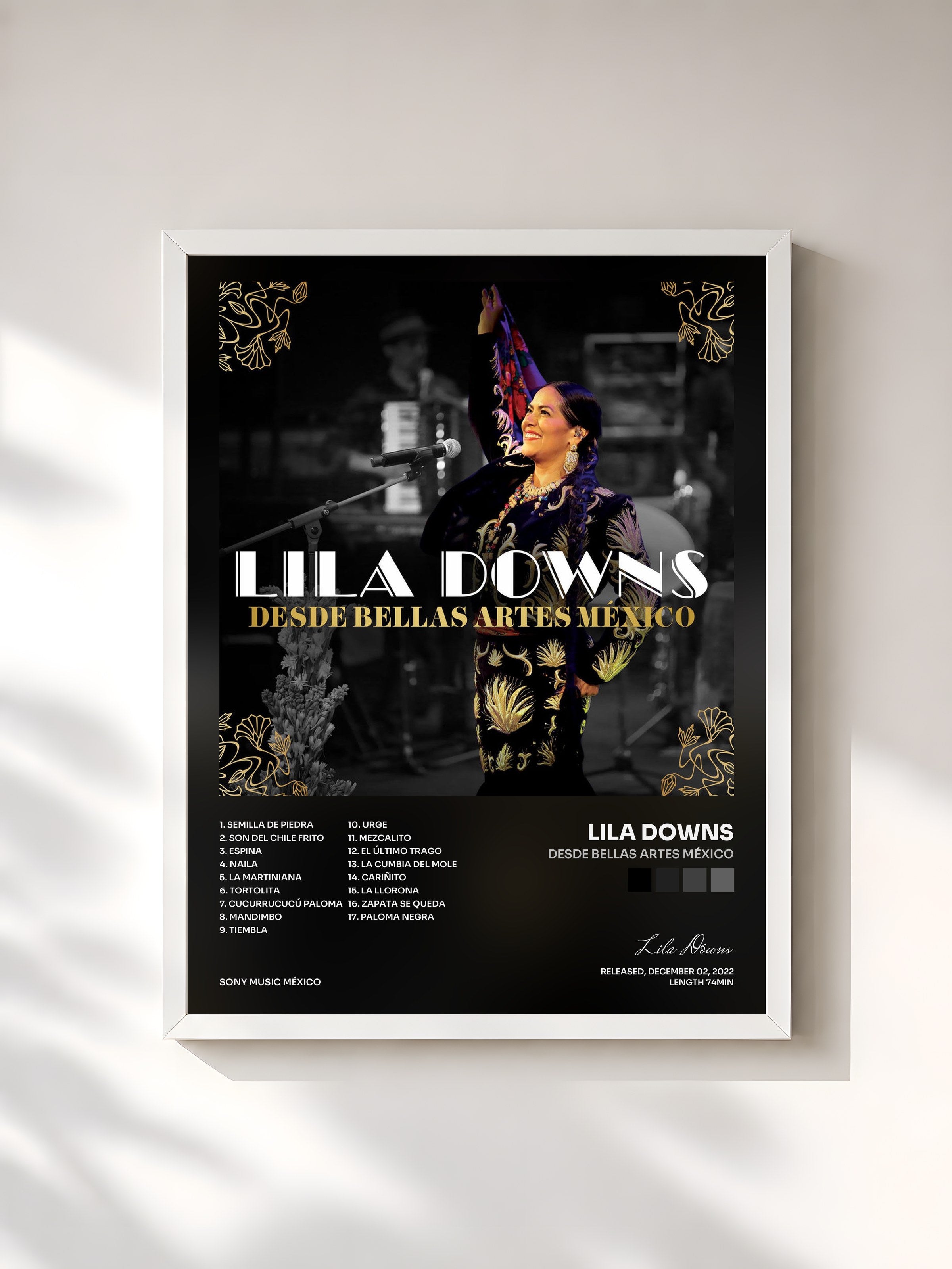 #blanc Tableau de l'album Desde Bellas Artes México de Lila Downs, cadre blanc, imprimé et encadré en France