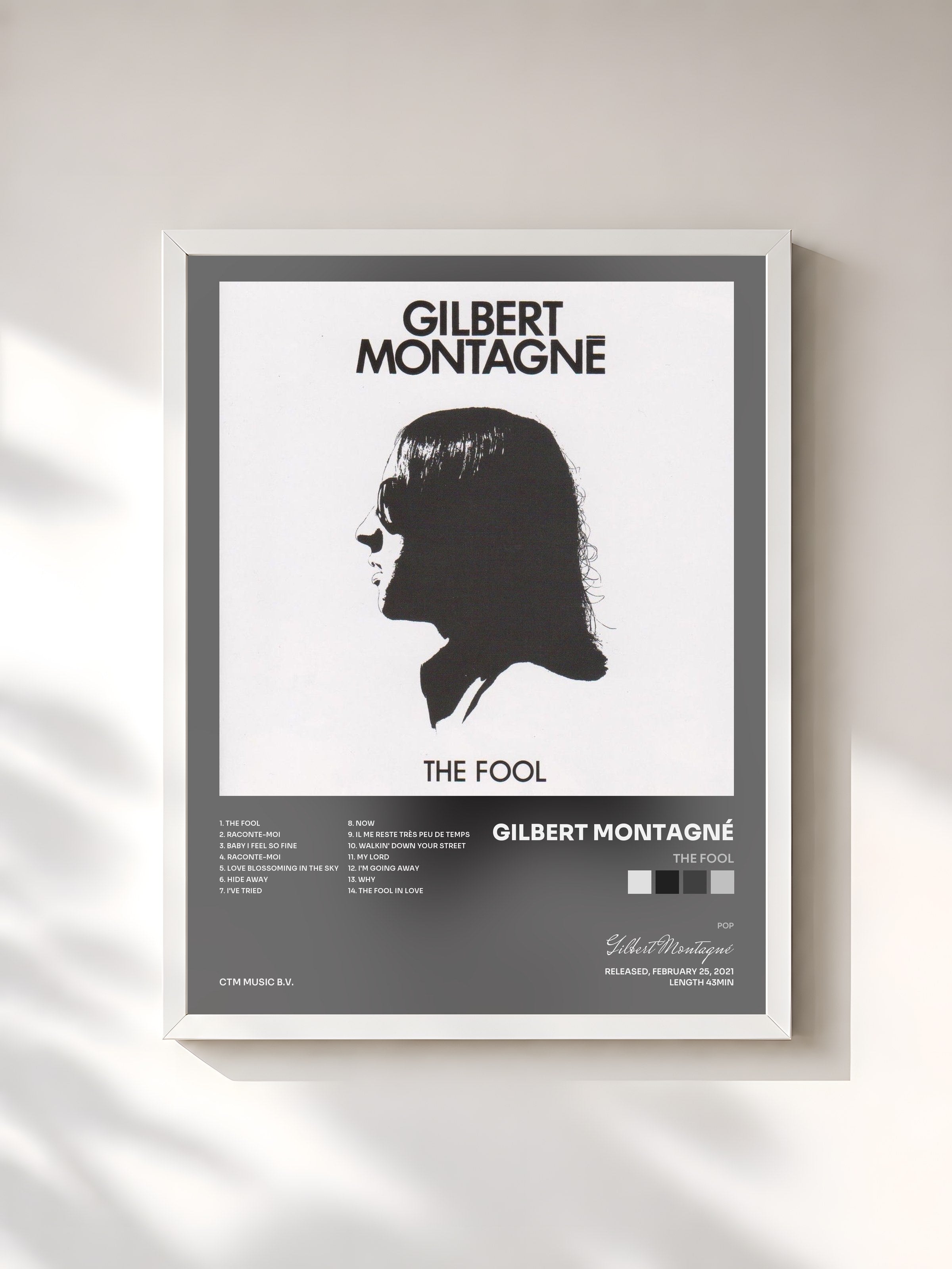 #blanc Tableau de l'album The Fool de Gilbert Montagné, cadre blanc, imprimé et encadré en France