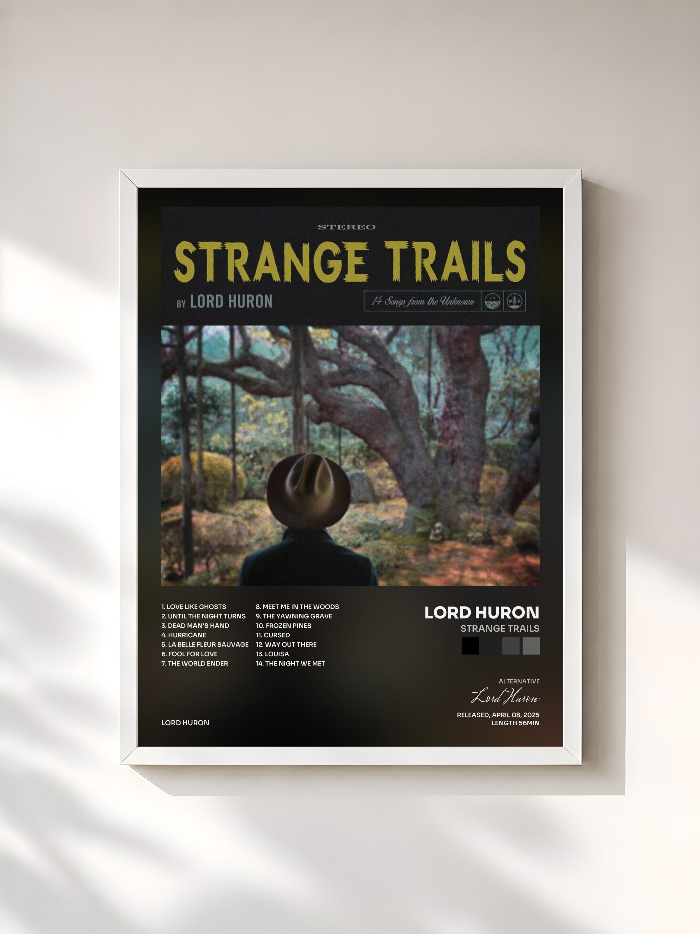 #blanc Tableau de l'album Strange Trails de Lord Huron, cadre blanc, imprimé et encadré en France