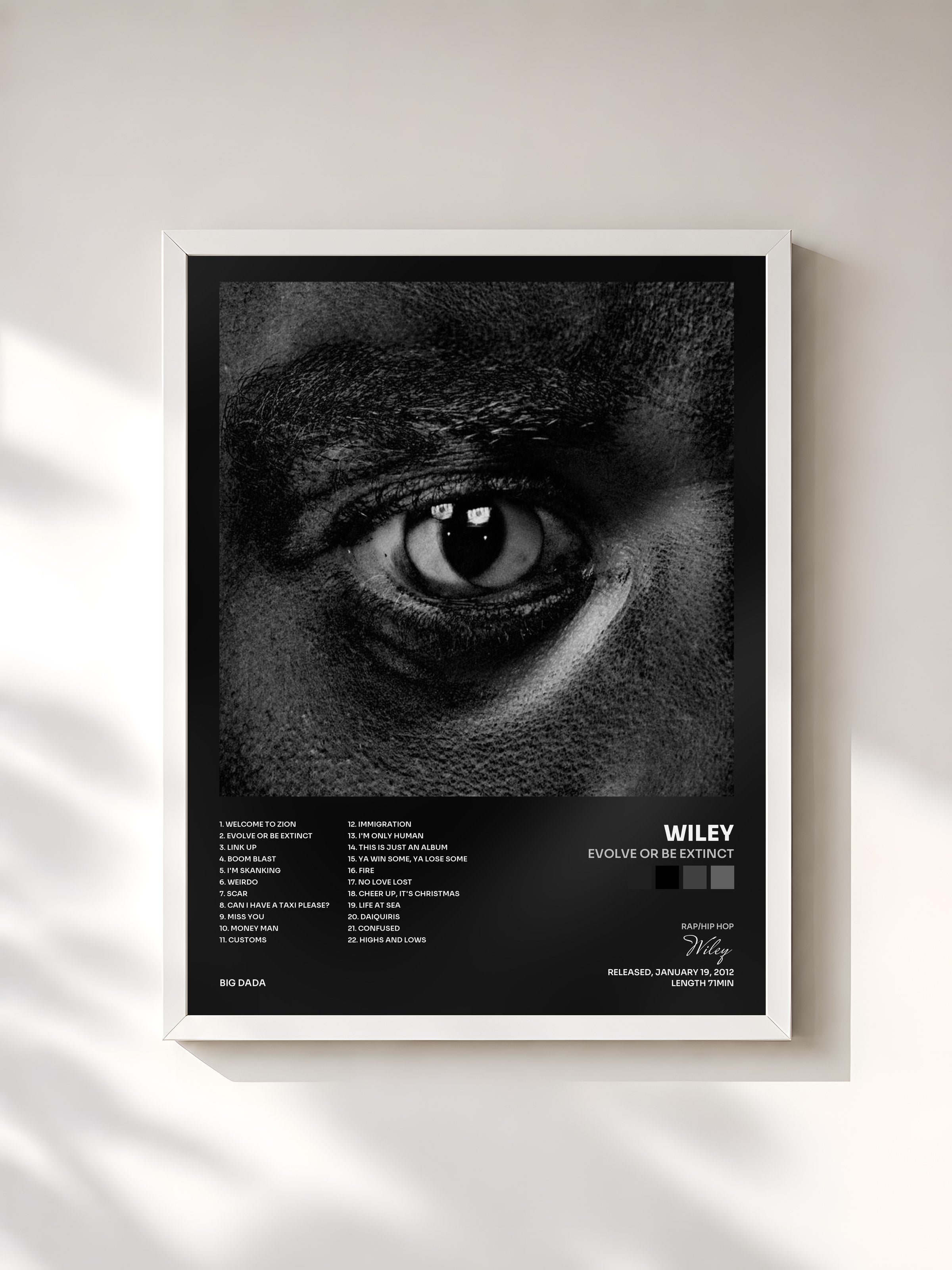 #blanc Tableau de l'album Evolve Or Be Extinct de Wiley, cadre blanc, imprimé et encadré en France