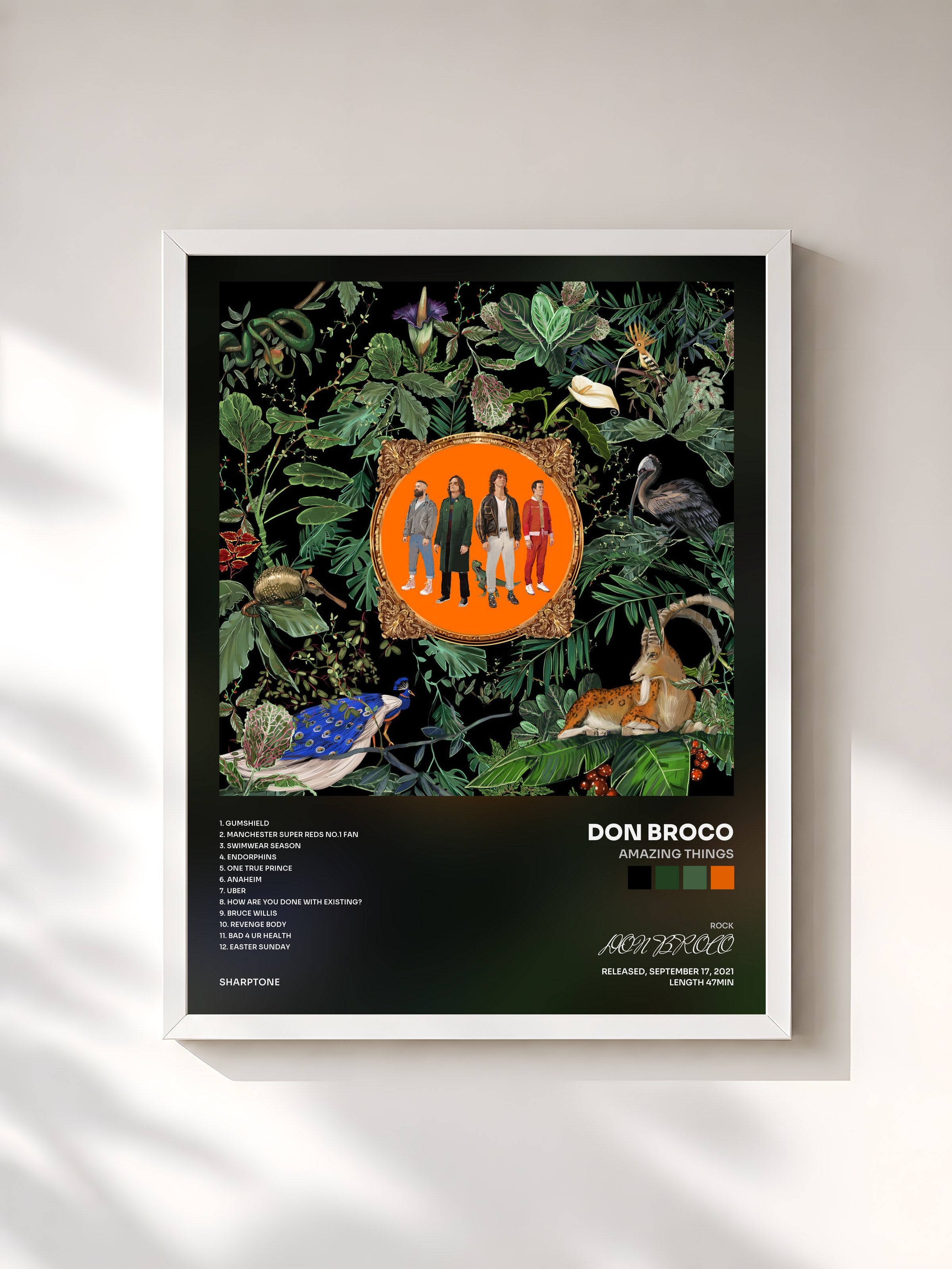 #blanc Tableau de l'album Amazing Things de DON BROCO, cadre blanc, imprimé et encadré en France
