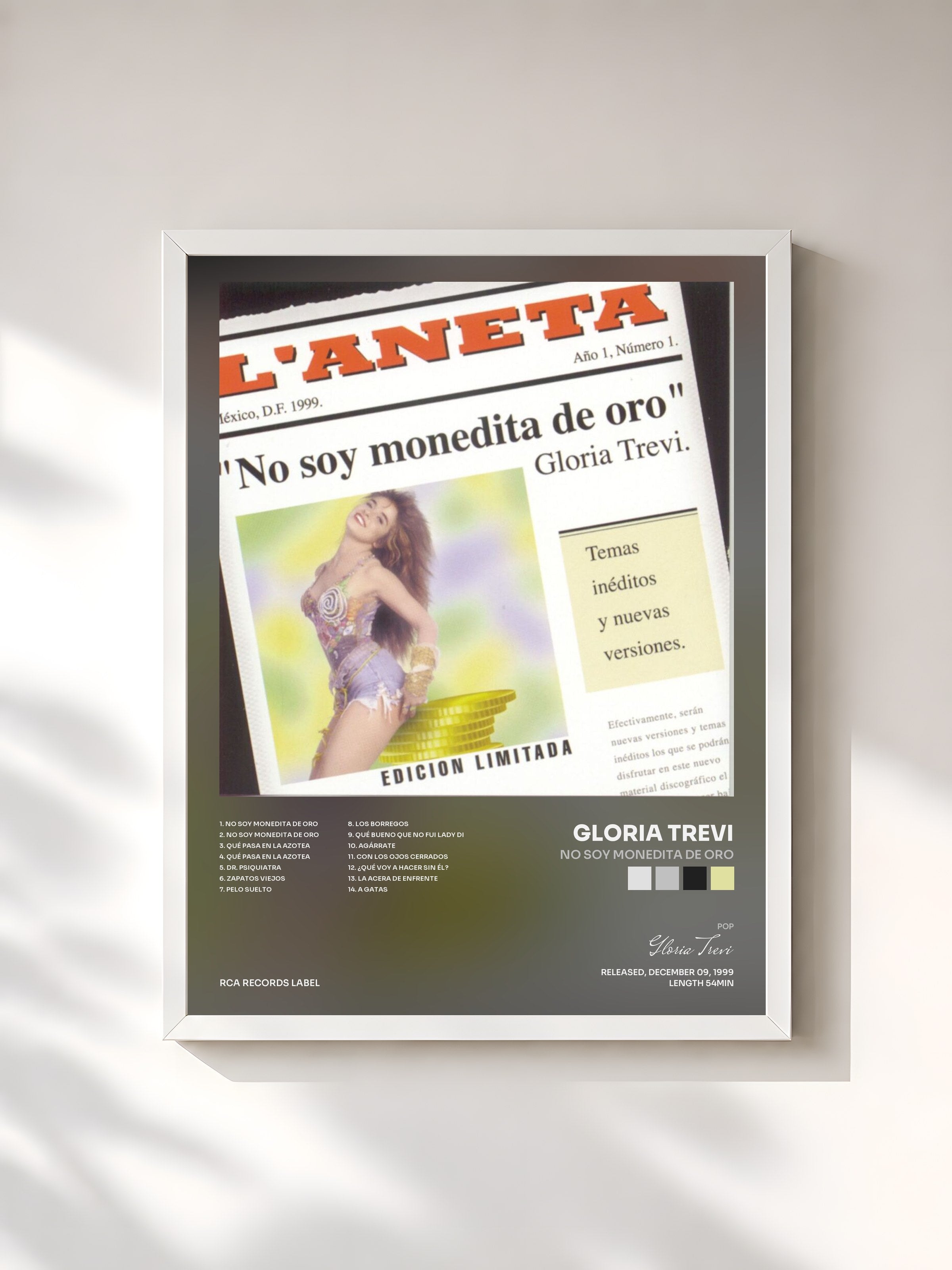#blanc Tableau de l'album No Soy Monedita De Oro de Gloria Trevi, cadre blanc, imprimé et encadré en France