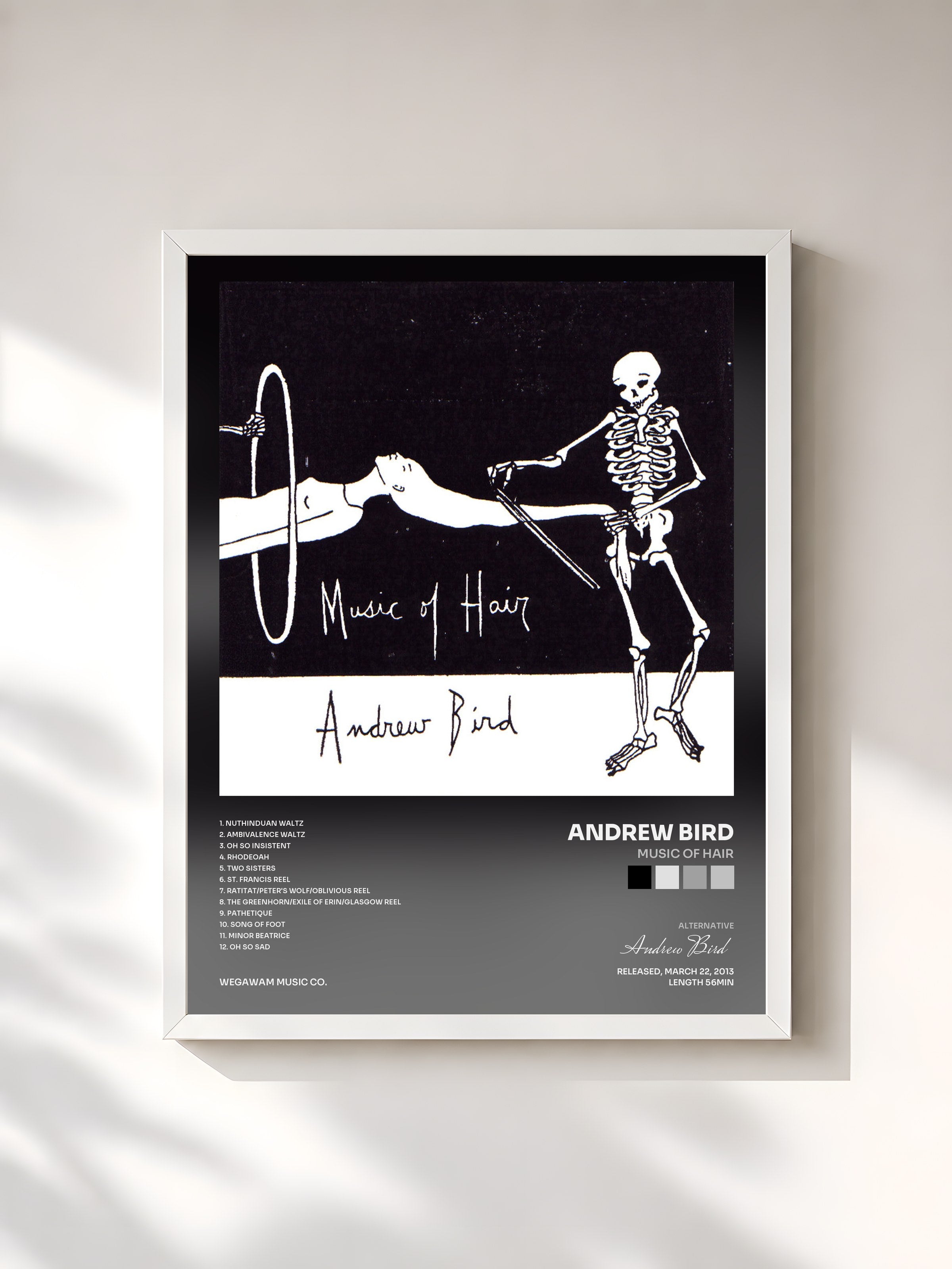 #blanc Tableau de l'album Music of Hair de Andrew Bird, cadre blanc, imprimé et encadré en France