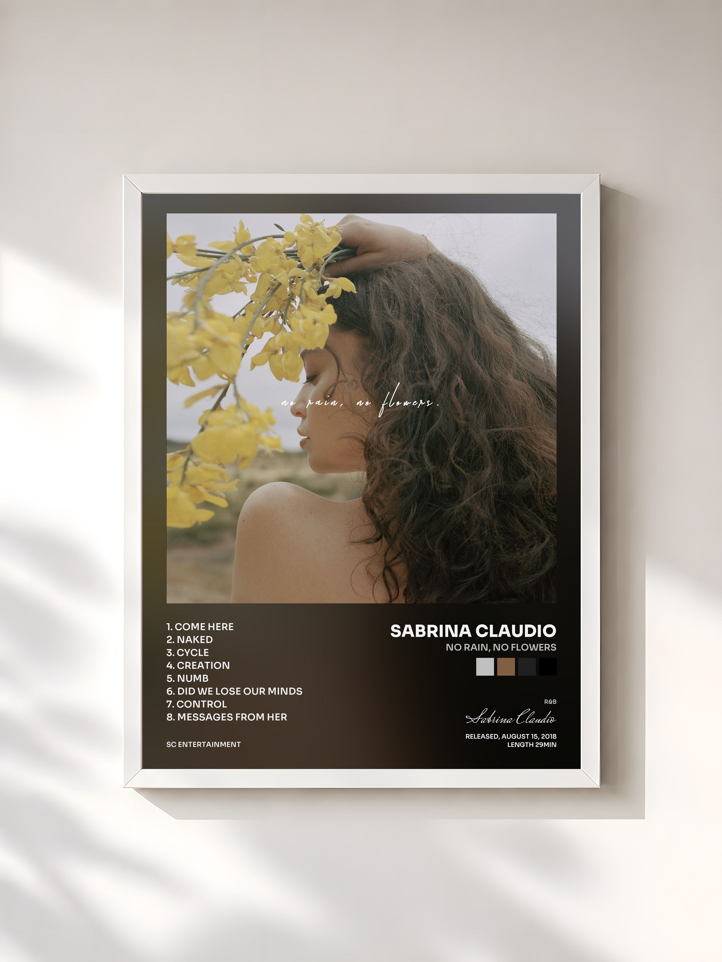 #blanc Tableau de l'album No Rain, No Flowers de Sabrina Claudio, cadre blanc, imprimé et encadré en France