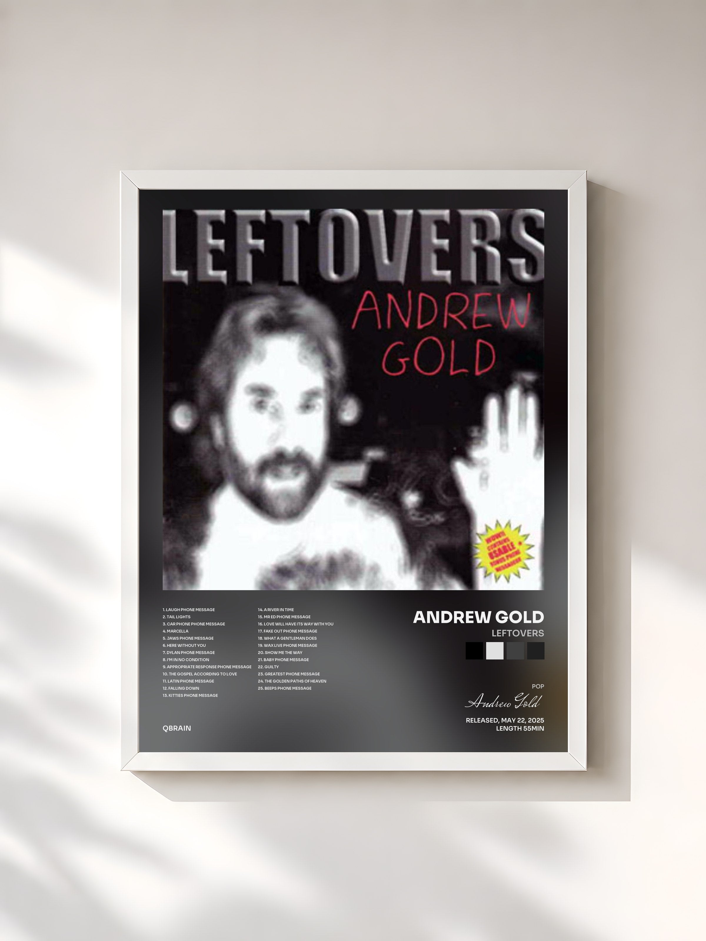 #blanc Tableau de l'album Leftovers de Andrew Gold, cadre blanc, imprimé et encadré en France