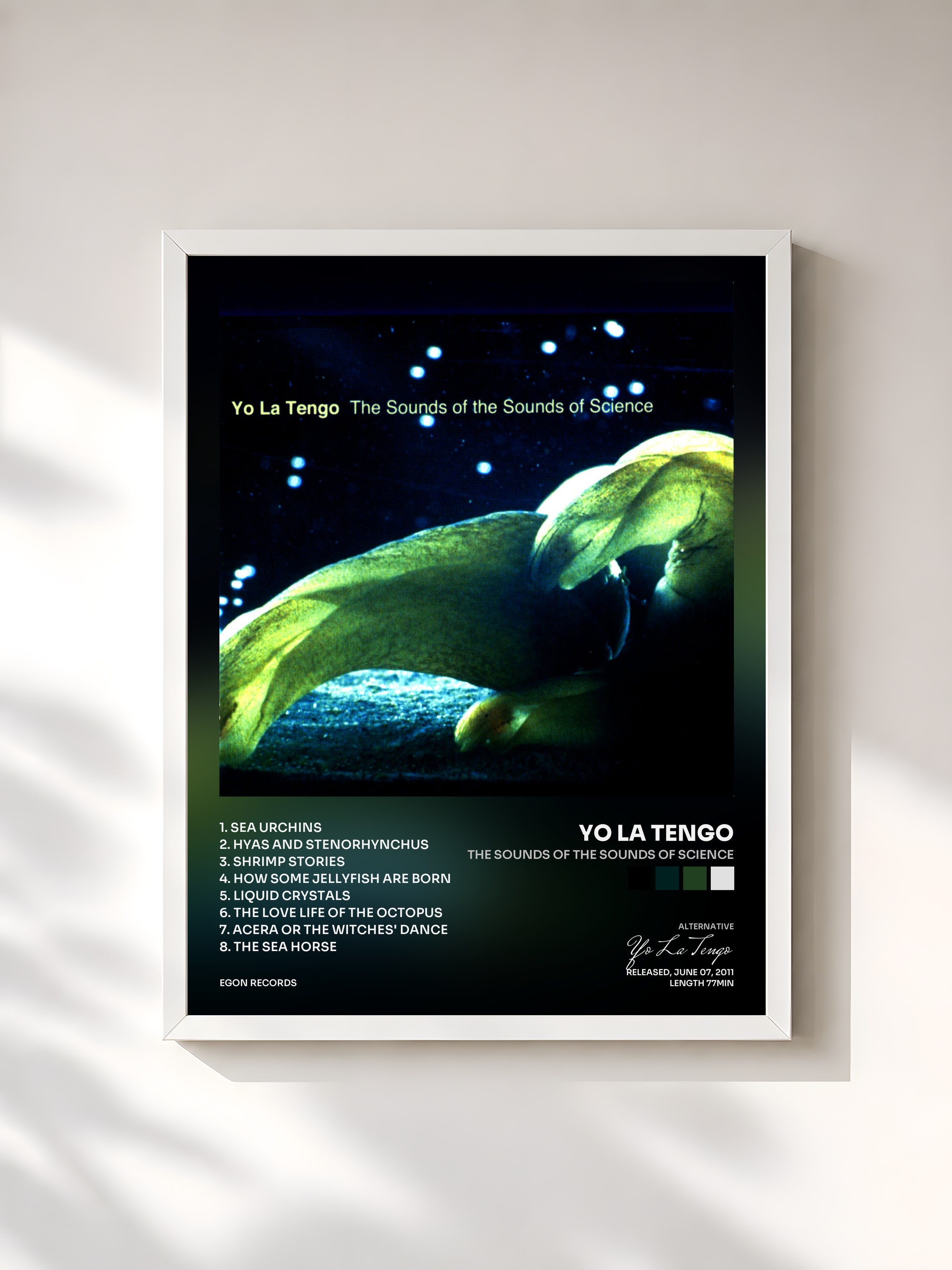 #blanc Tableau de l'album The Sounds of the Sounds of Science de Yo La Tengo, cadre blanc, imprimé et encadré en France