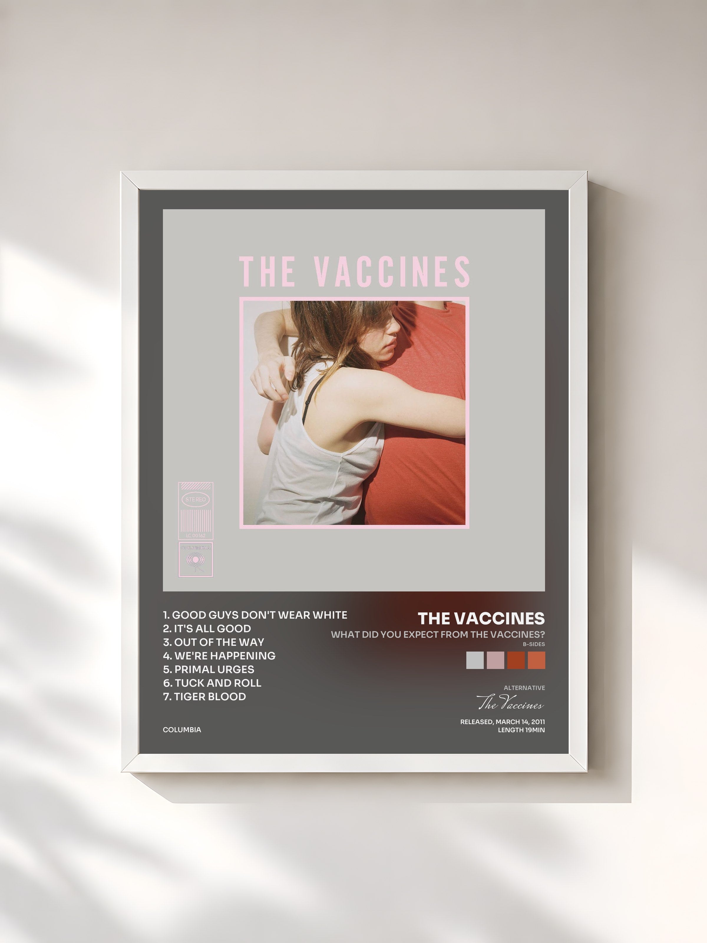 #blanc Tableau de l'album What Did You Expect from The Vaccines? (B-Sides) de The Vaccines, cadre blanc, imprimé et encadré en France