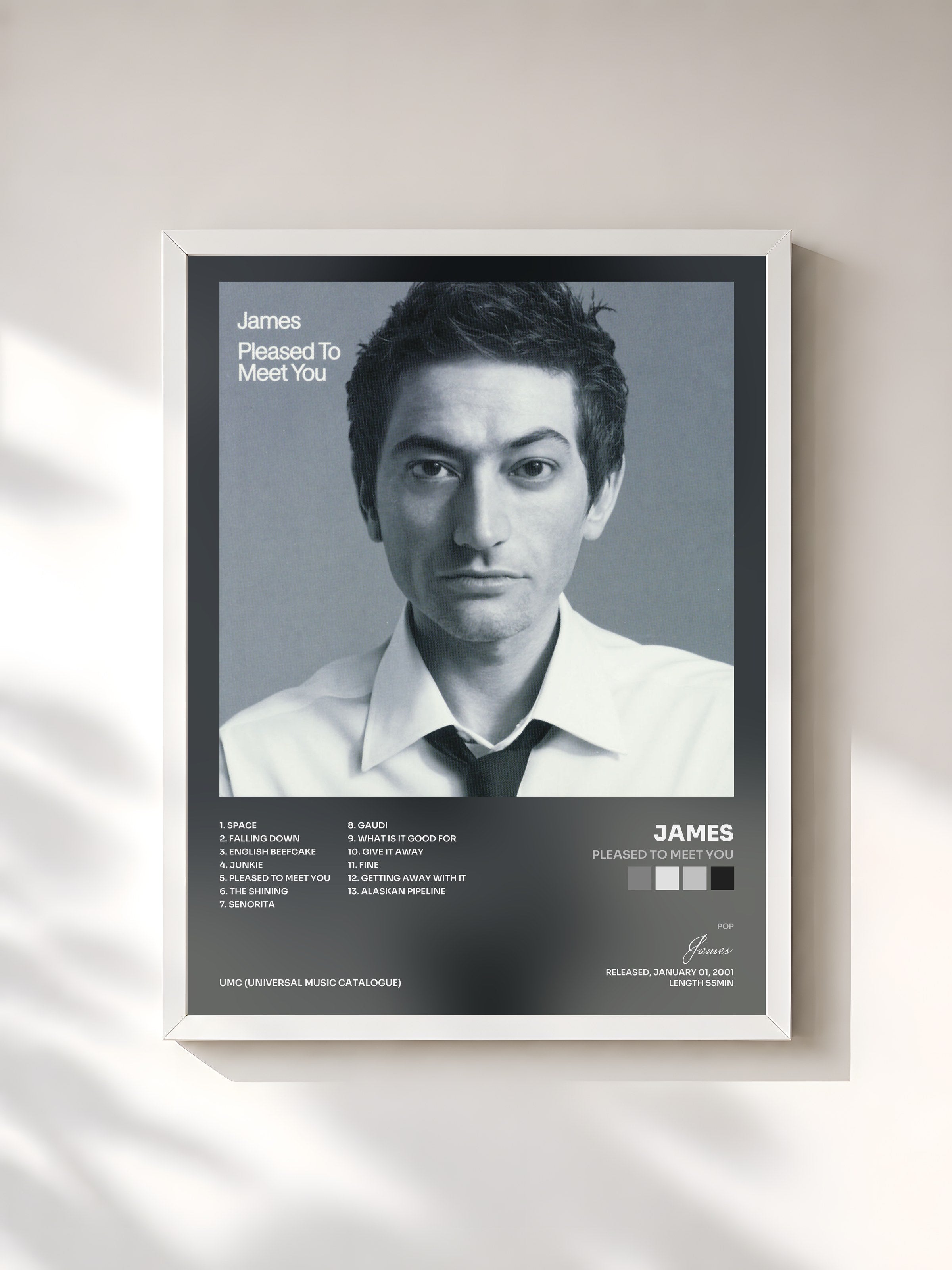 #blanc Tableau de l'album Pleased To Meet You de James, cadre blanc, imprimé et encadré en France