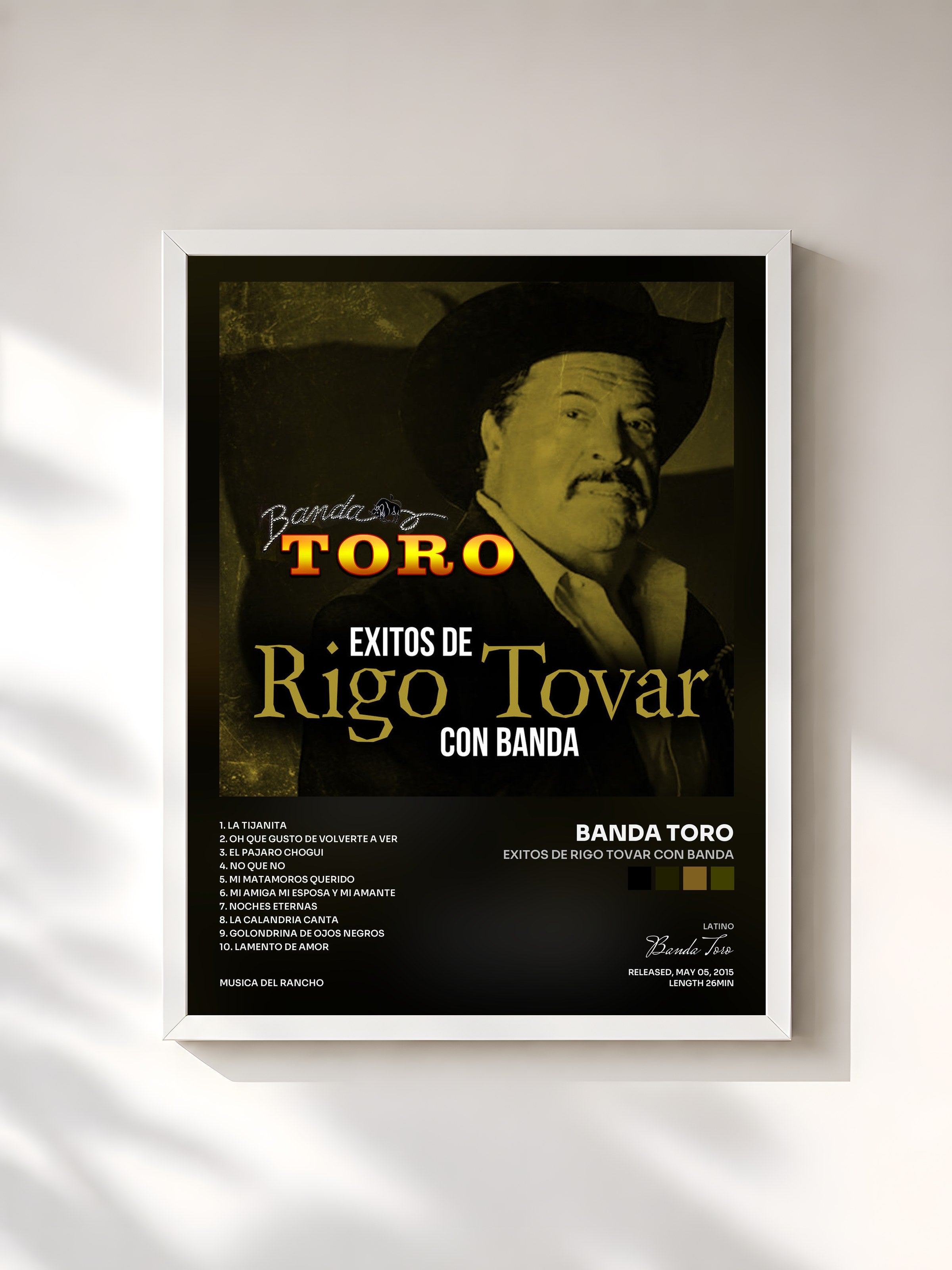 #blanc Tableau de l'album Exitos de Rigo Tovar Con Banda de Banda Toro, cadre blanc, imprimé et encadré en France