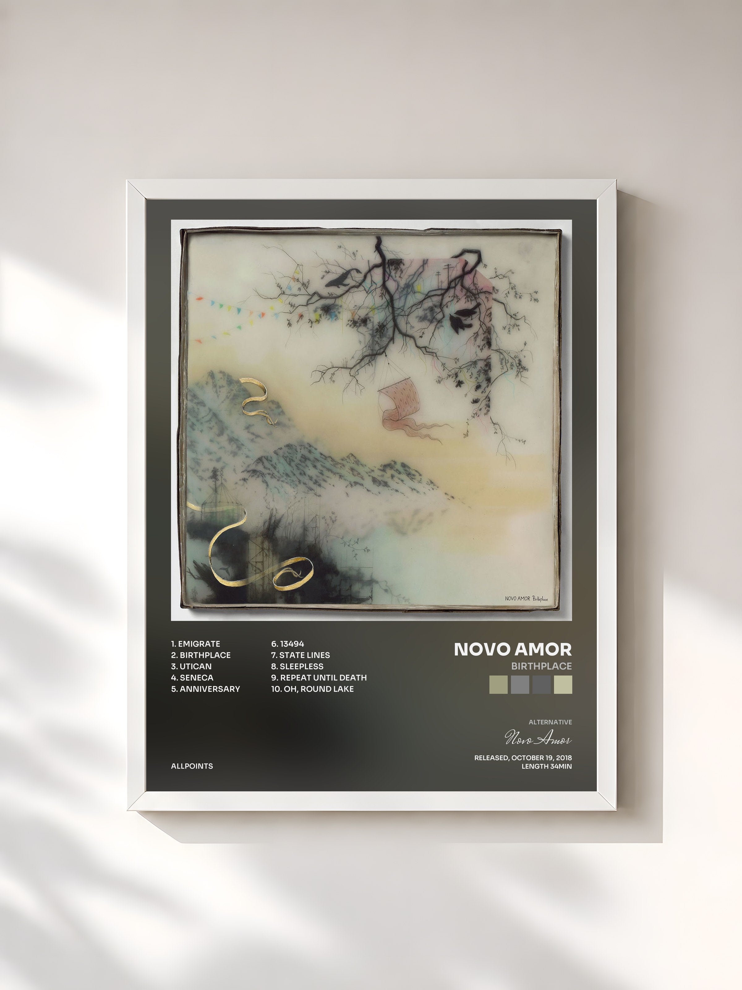 #blanc Tableau de l'album Birthplace de Novo Amor, cadre blanc, imprimé et encadré en France