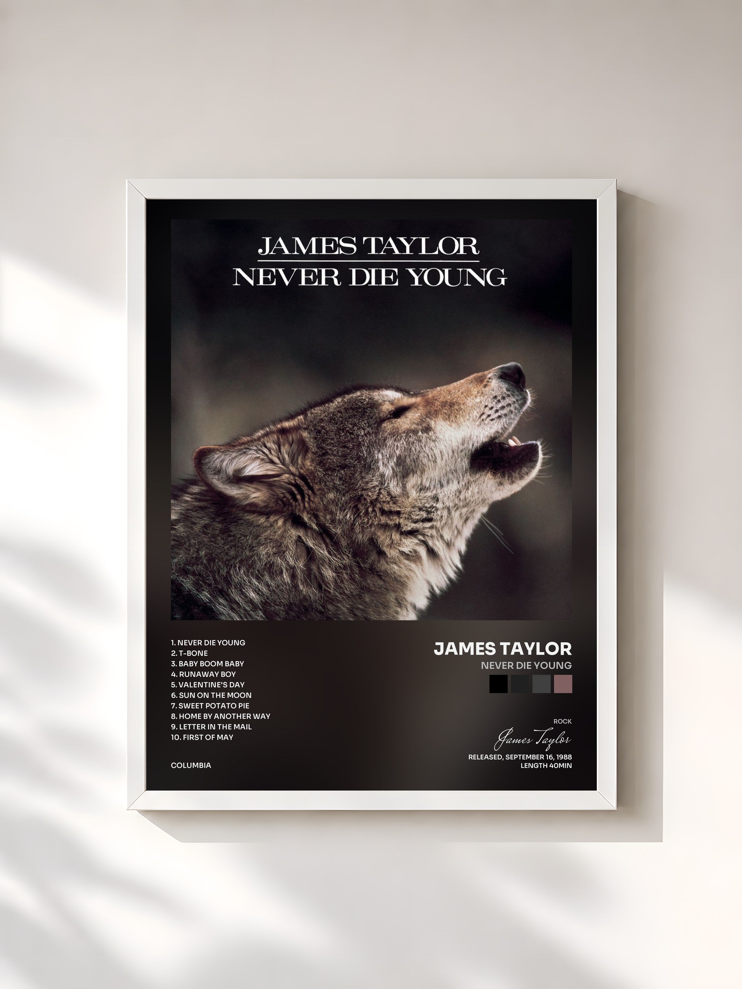 #blanc Tableau de l'album Never Die Young de James Taylor, cadre blanc, imprimé et encadré en France