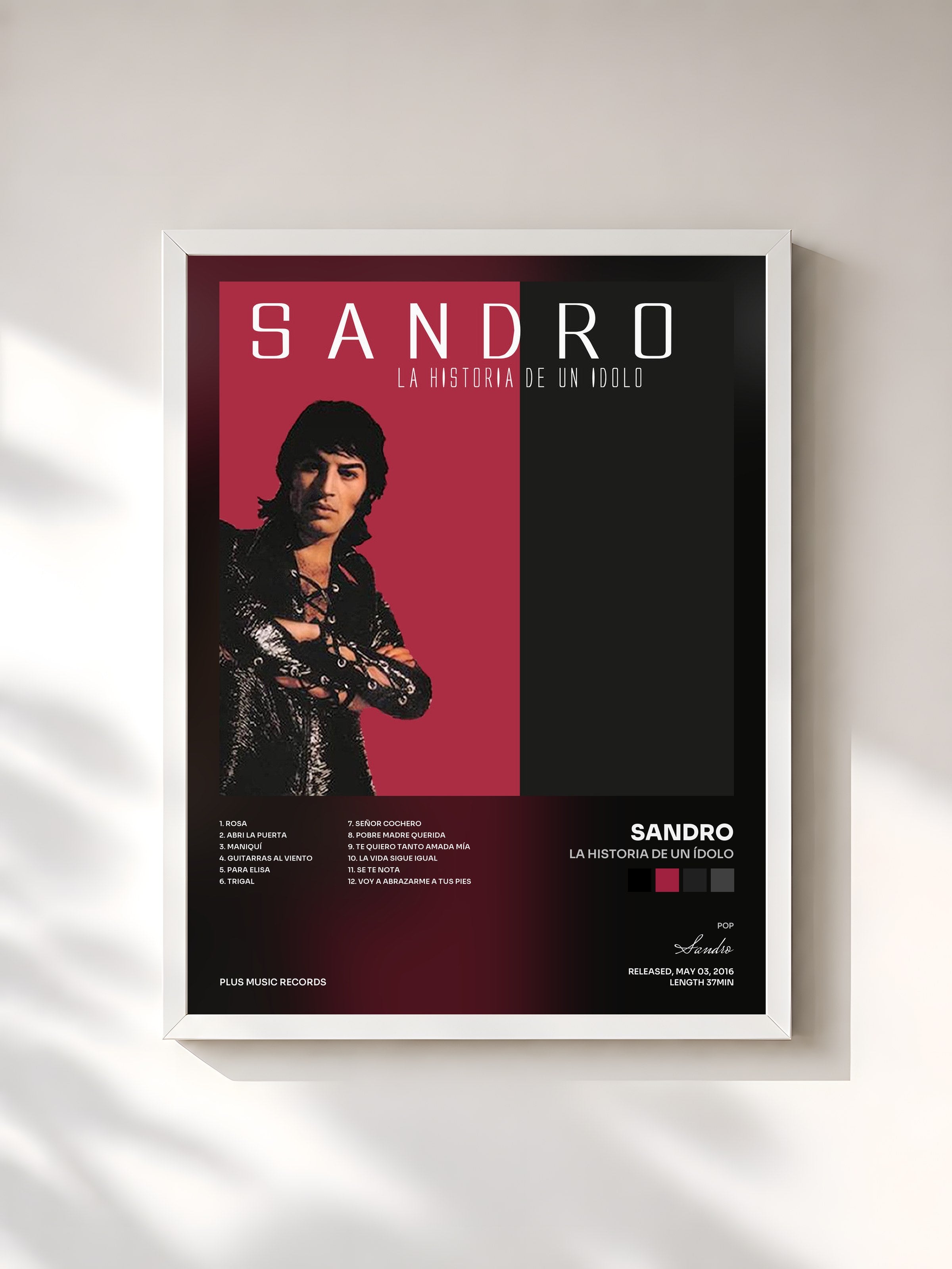 #blanc Tableau de l'album La Historia de un Ídolo de Sandro, cadre blanc, imprimé et encadré en France
