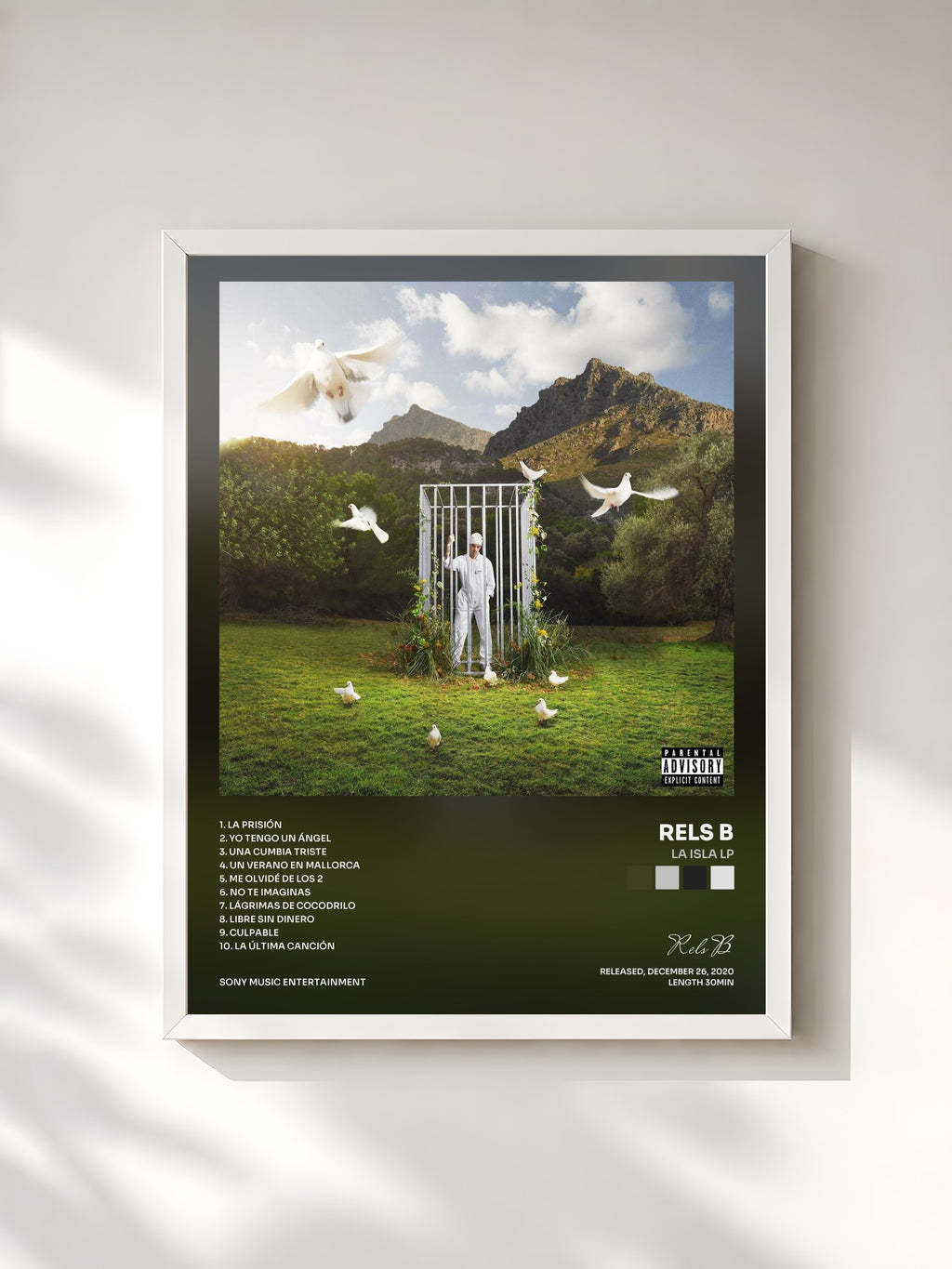 #blanc Tableau de l'album LA ISLA LP de Rels B, cadre blanc, imprimé et encadré en France
