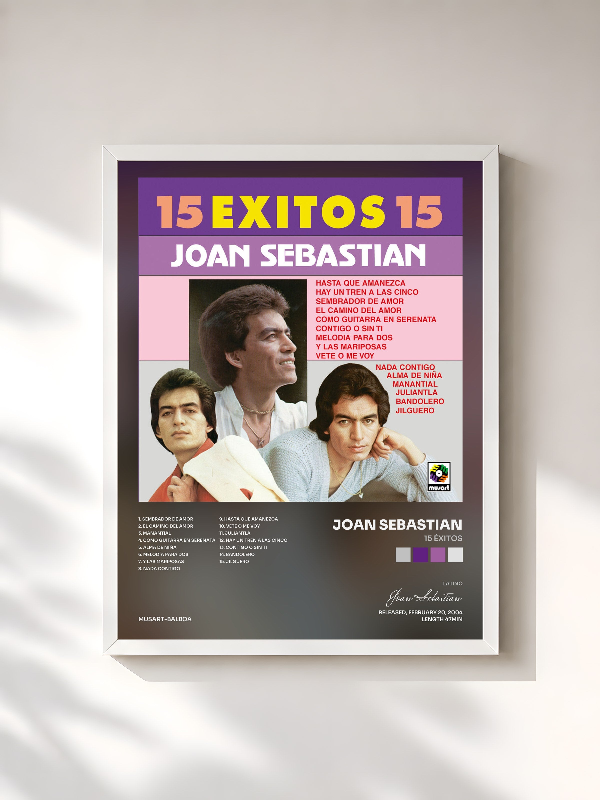 #blanc Tableau de l'album 15 Éxitos de Joan Sebastian, cadre blanc, imprimé et encadré en France