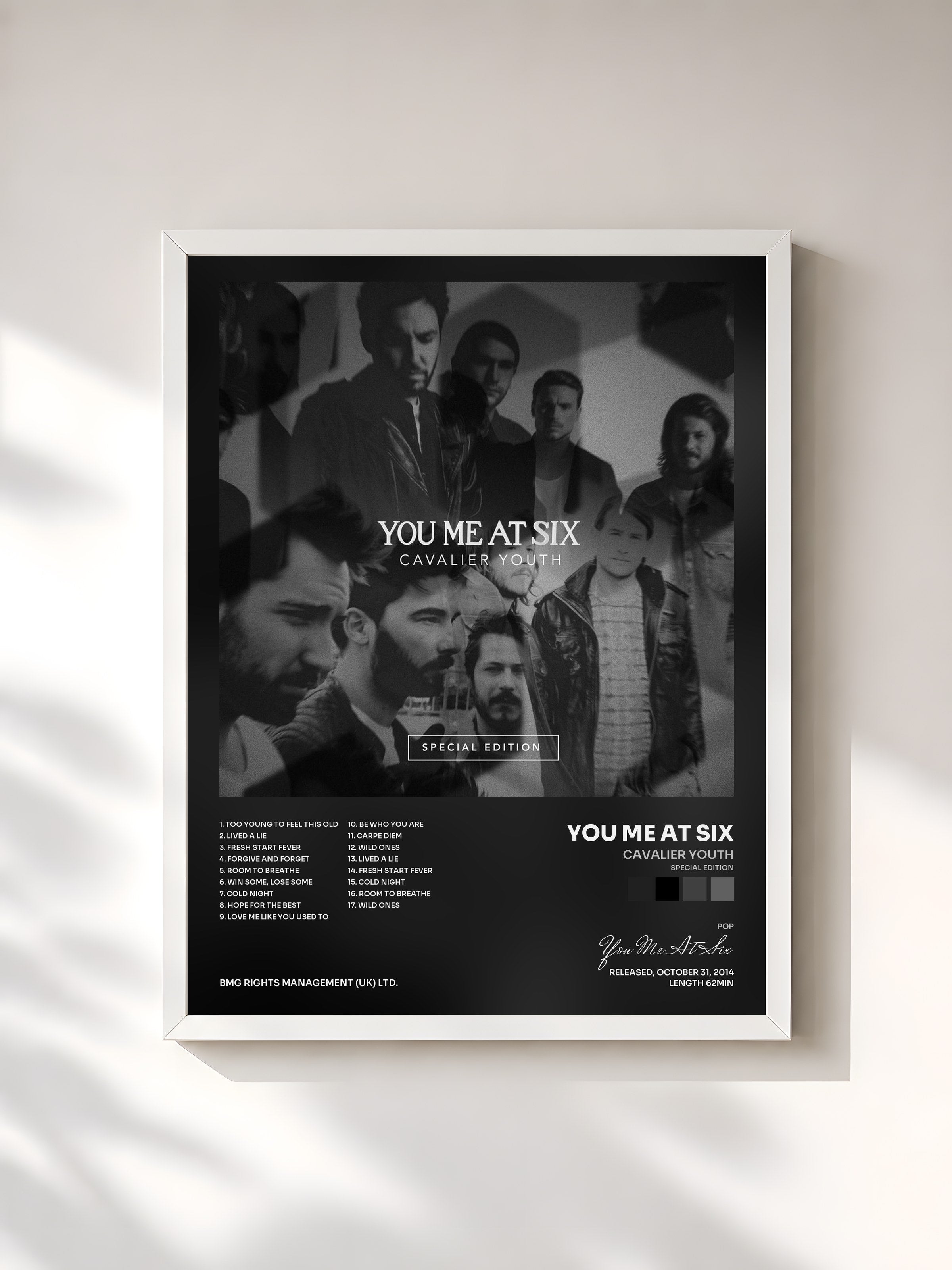 #blanc Tableau de l'album Cavalier Youth (Special Edition) de You Me At Six, cadre blanc, imprimé et encadré en France