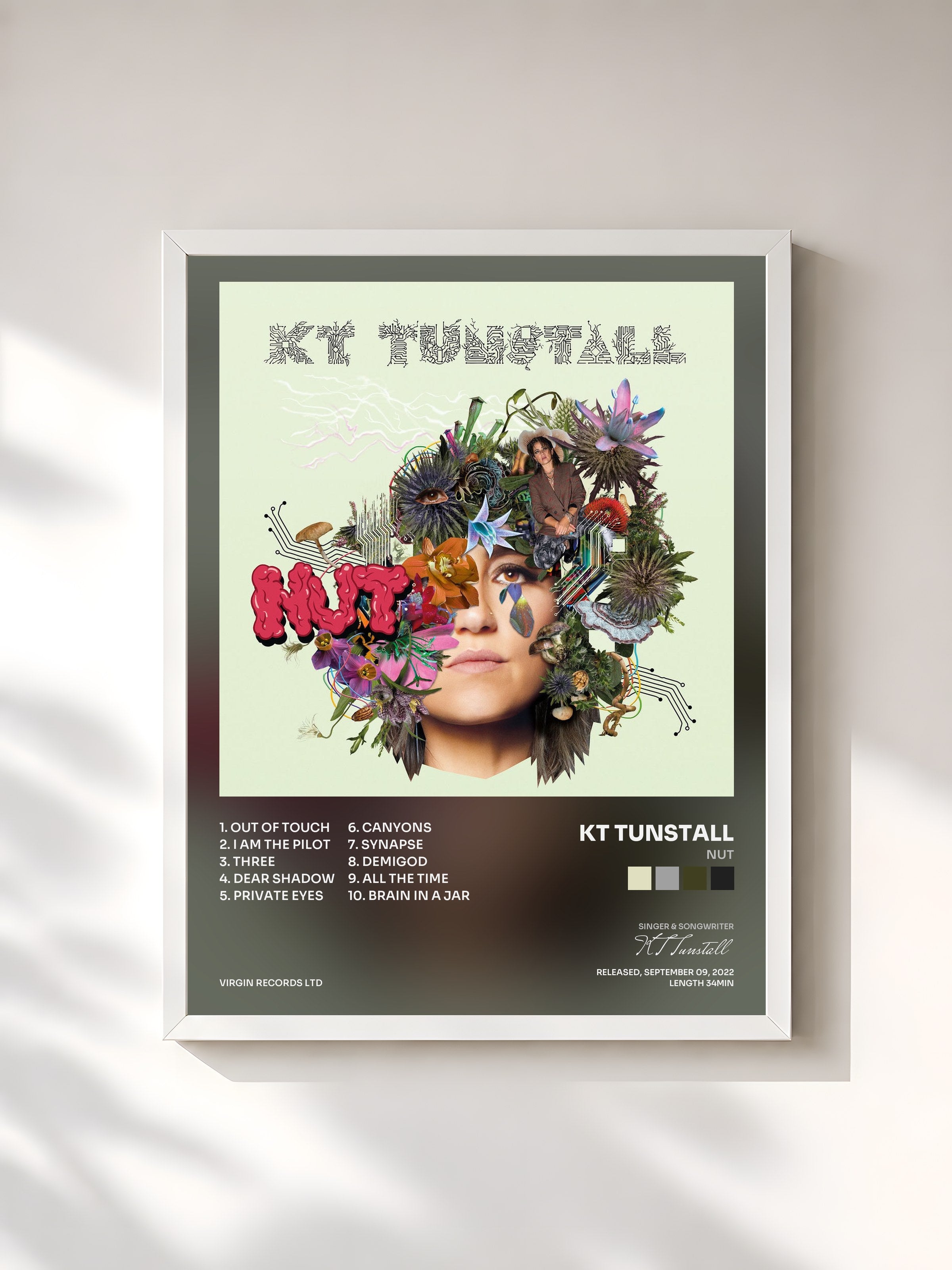 #blanc Tableau de l'album NUT de KT Tunstall, cadre blanc, imprimé et encadré en France