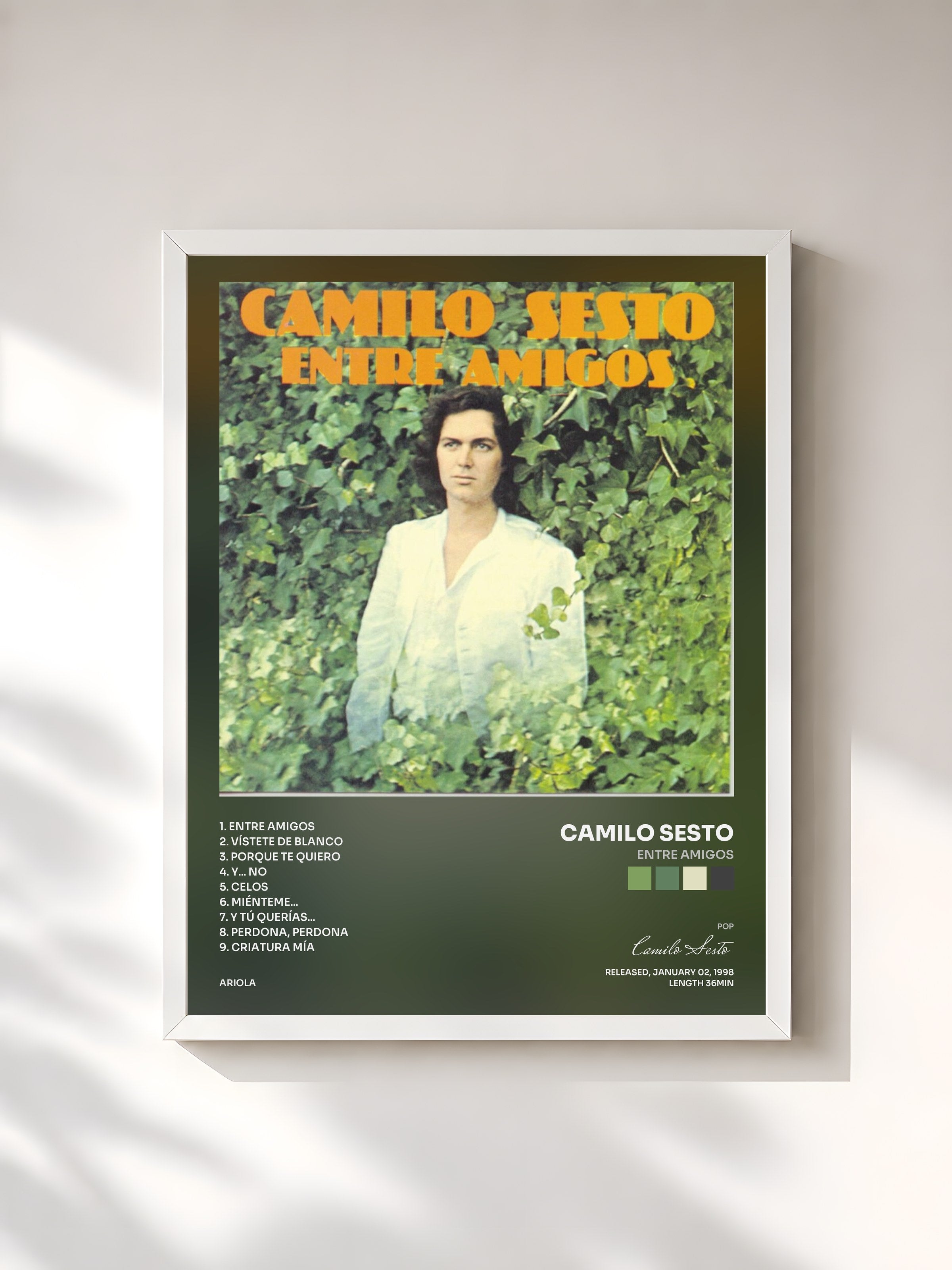 #blanc Tableau de l'album Entre Amigos de Camilo Sesto, cadre blanc, imprimé et encadré en France