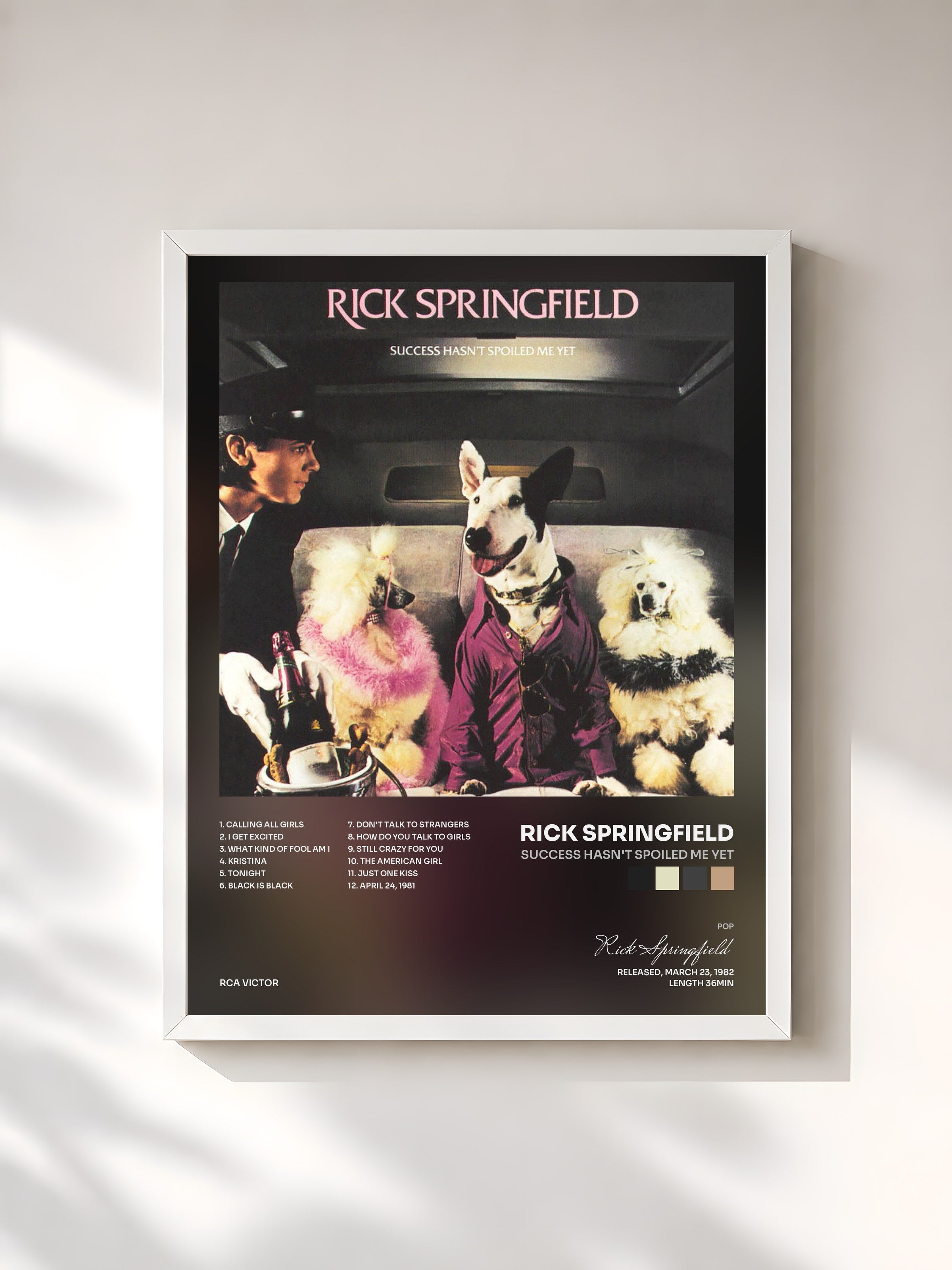 #blanc Tableau de l'album Success Hasn't Spoiled Me Yet de Rick Springfield, cadre blanc, imprimé et encadré en France