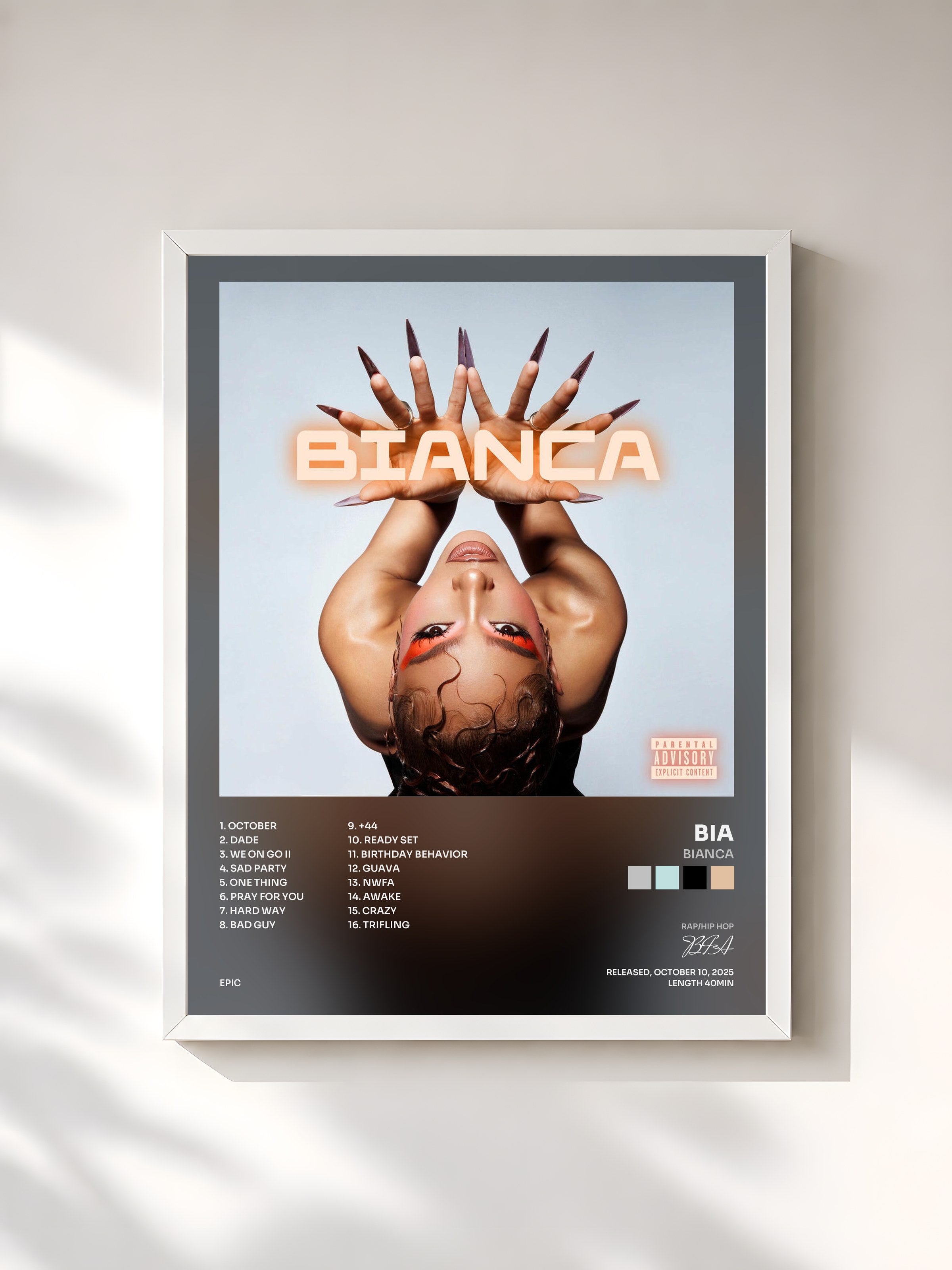 #blanc Tableau de l'album BIANCA de BIA, cadre blanc, imprimé et encadré en France