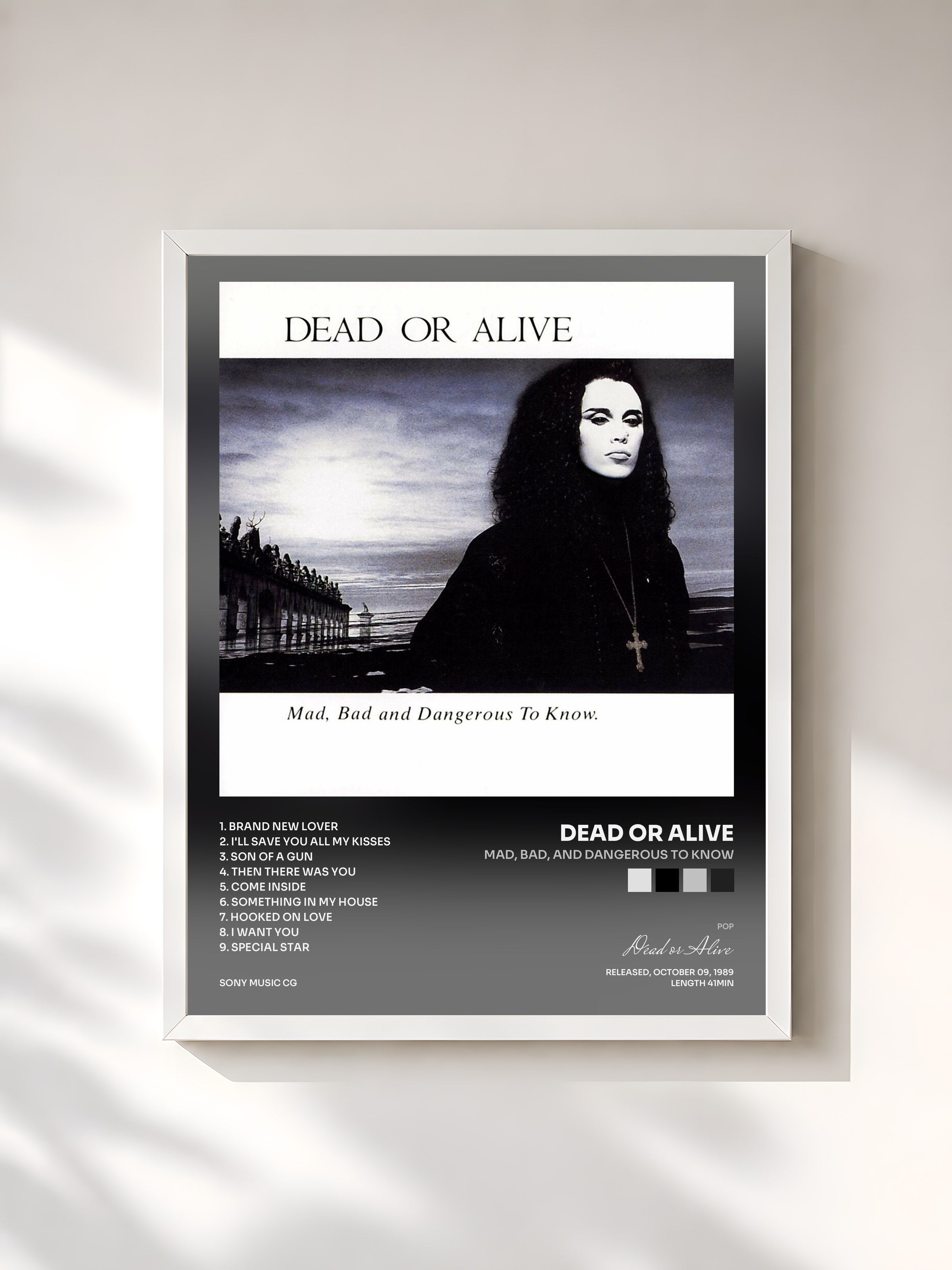#blanc Tableau de l'album Mad, Bad, and Dangerous to Know de Dead or Alive, cadre blanc, imprimé et encadré en France