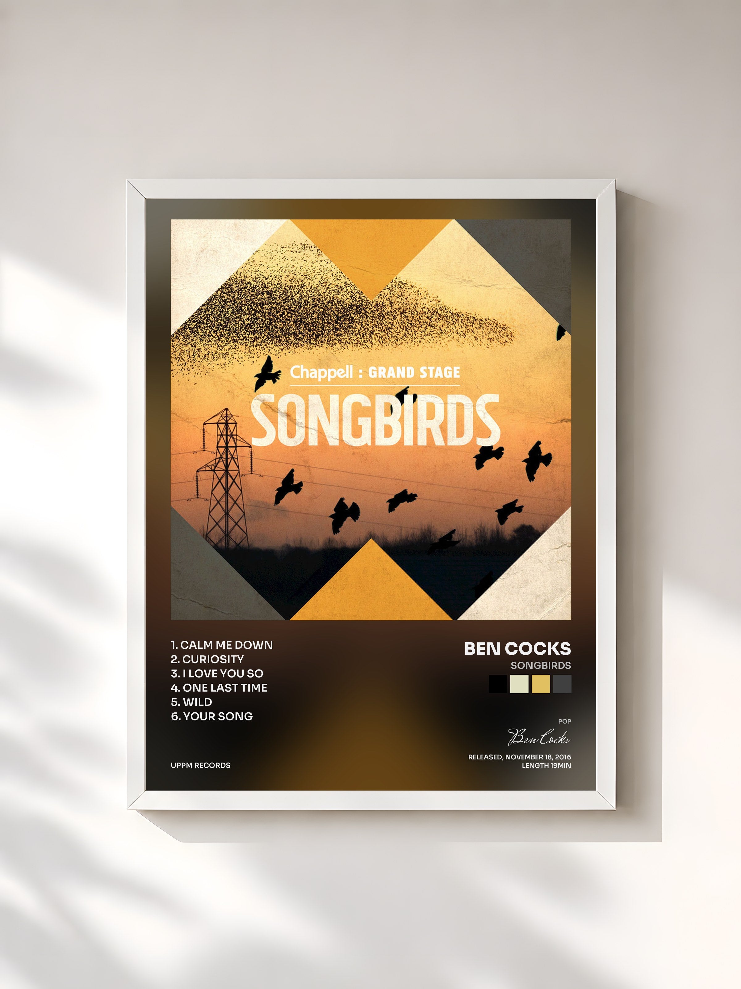 #blanc Tableau de l'album Songbirds de Ben Cocks, cadre blanc, imprimé et encadré en France